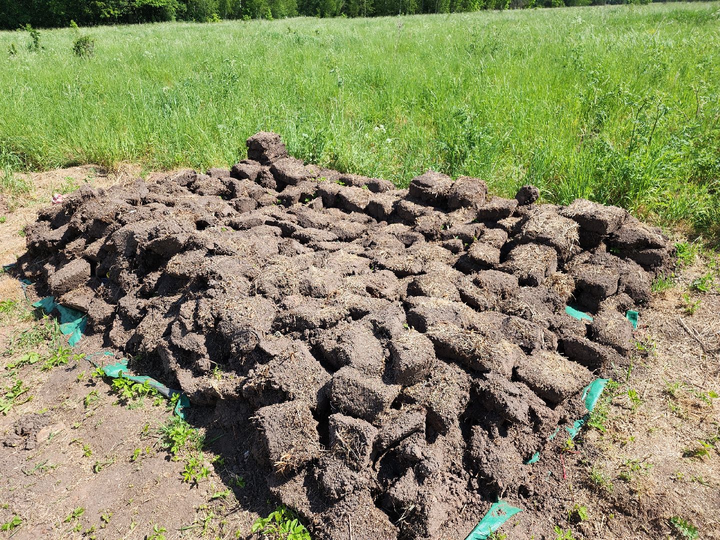 серпухов, подмосковье, зиброво, археологи, археологические находки,