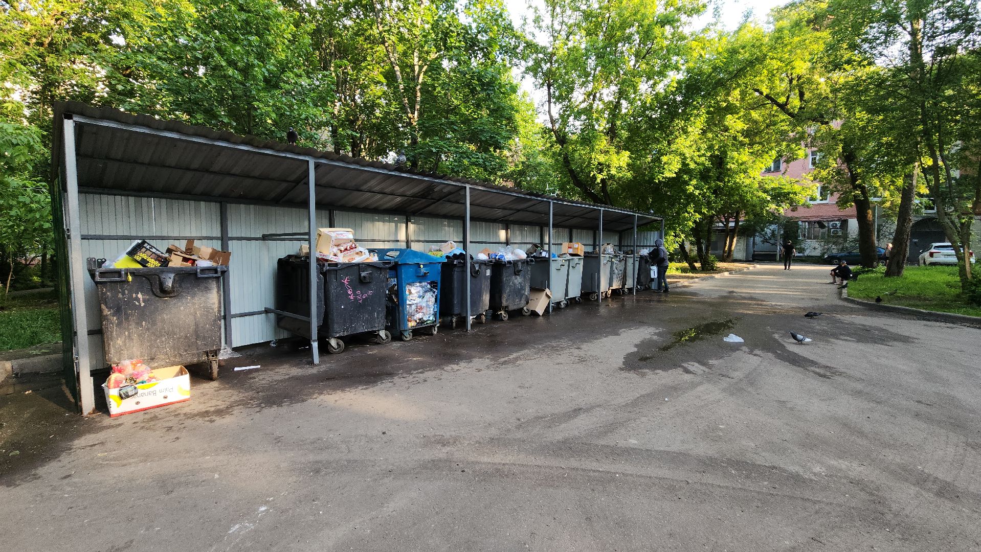 пушкино, контейнерная площадка, ремонт, жкх,