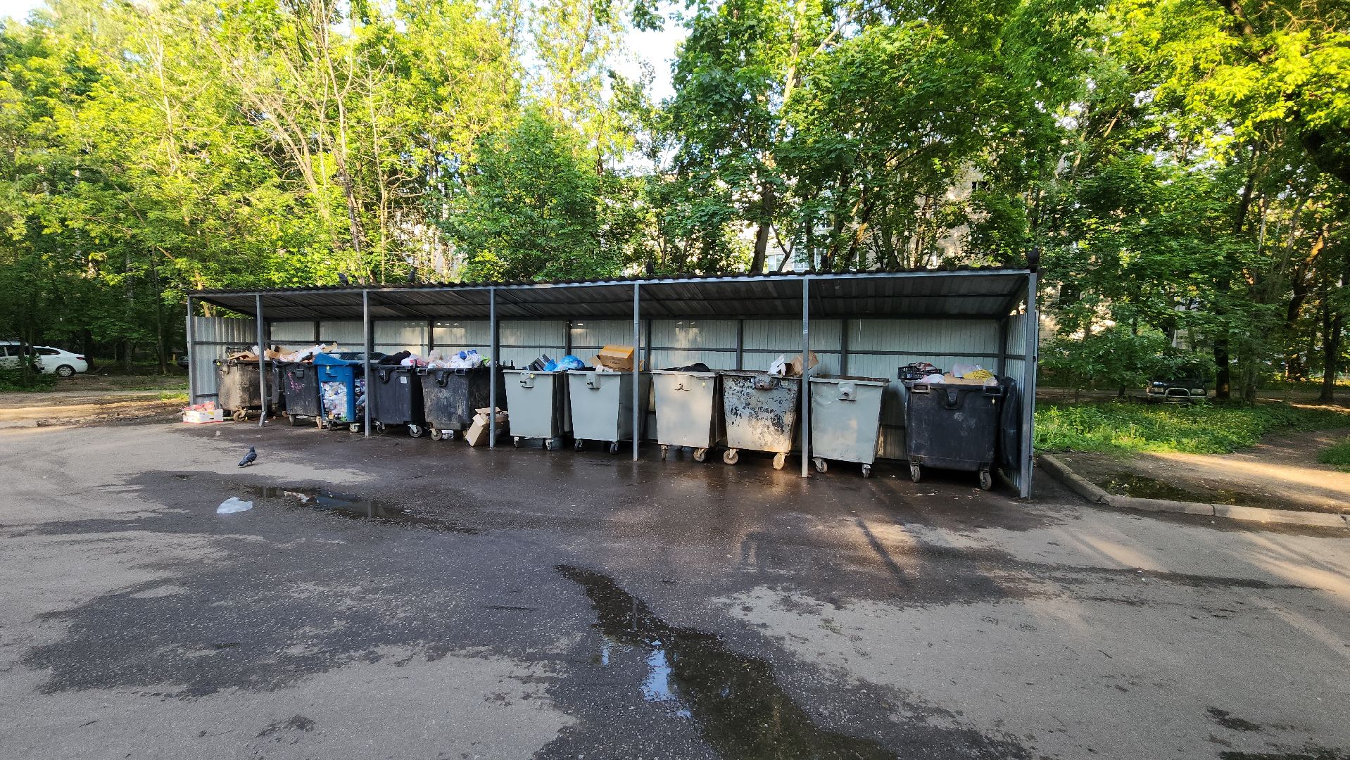 пушкино, контейнерная площадка, ремонт, жкх,