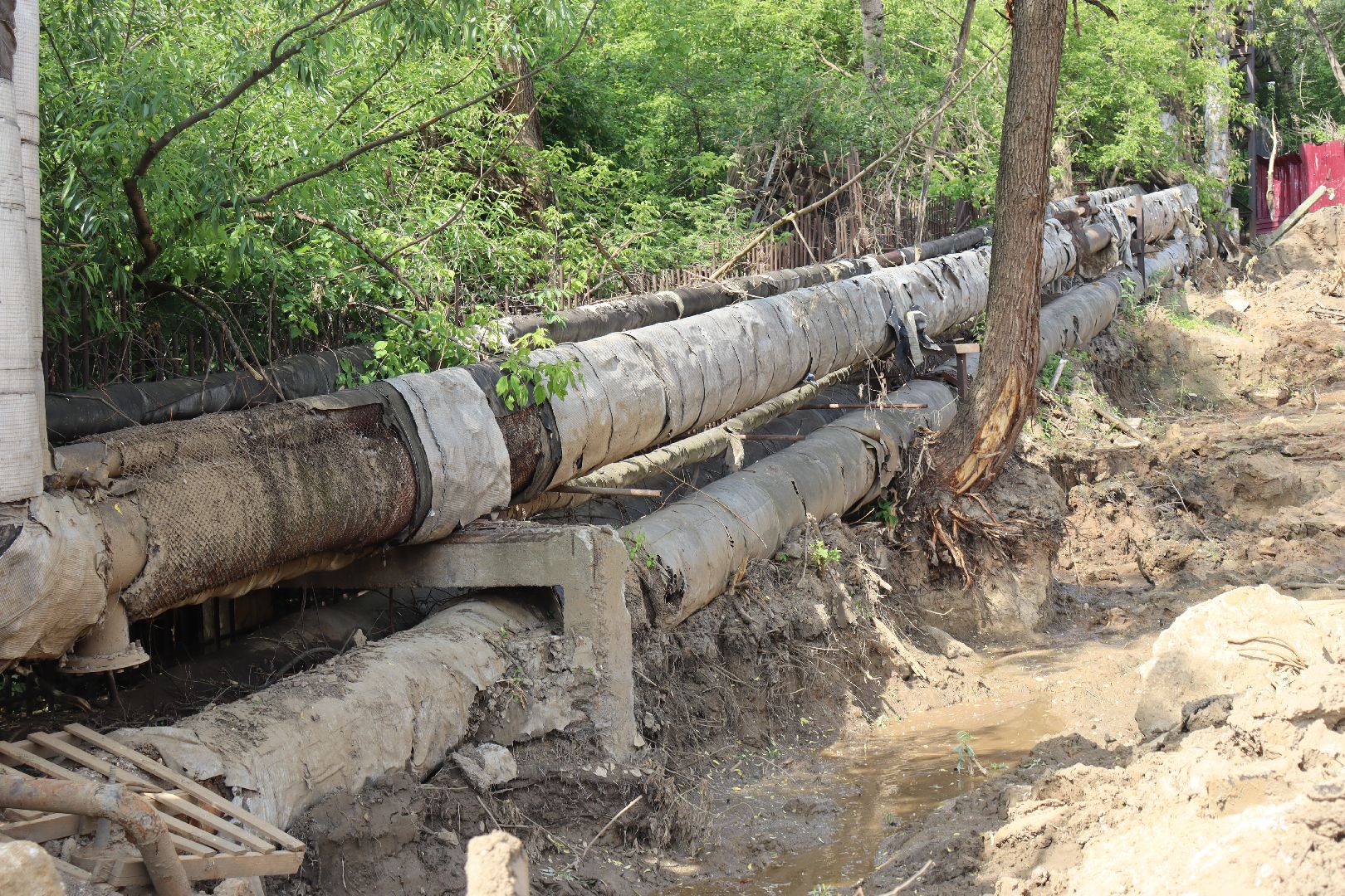 дзержинский, теплосеть, Андроник Пак,евгений хромушин,