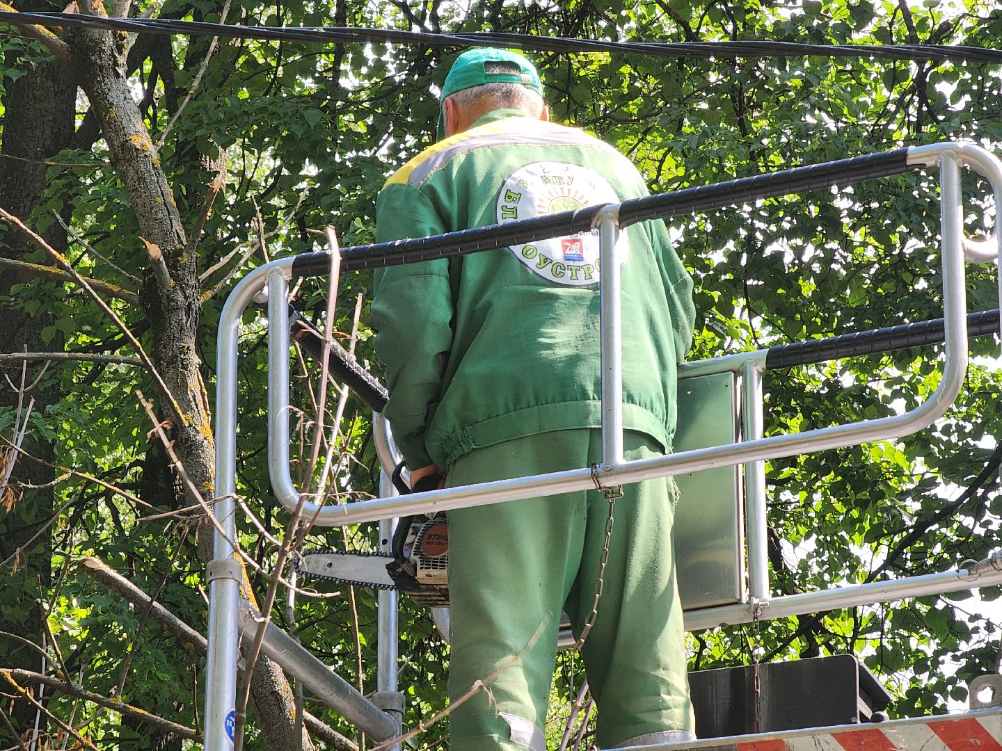 долгопрудный, мфти, Институтский переулок, опиловка деревьев, переработка дерева, смет, мбу благоустройство,