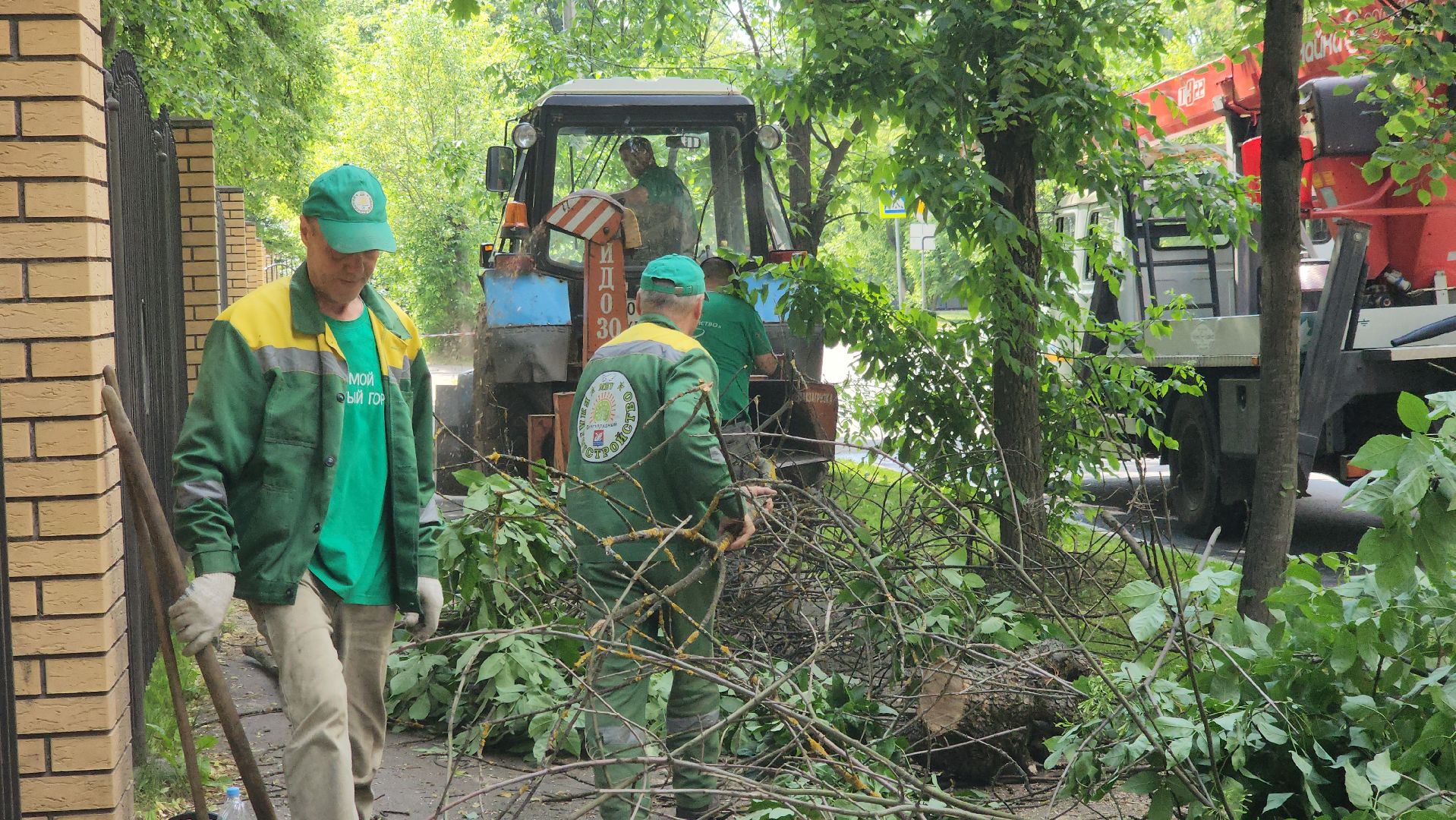 долгопрудный, мфти, Институтский переулок, опиловка деревьев, переработка дерева, смет, мбу благоустройство,