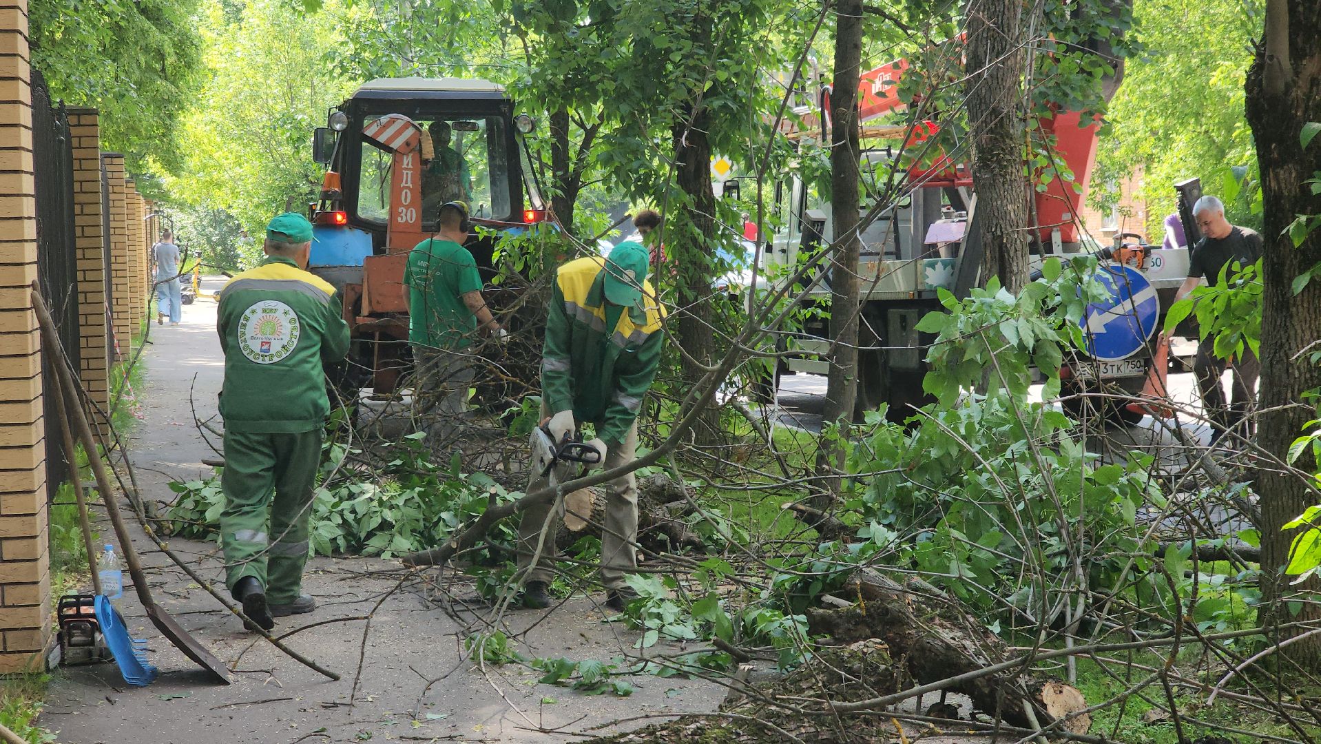 долгопрудный, мфти, Институтский переулок, опиловка деревьев, переработка дерева, смет, мбу благоустройство,