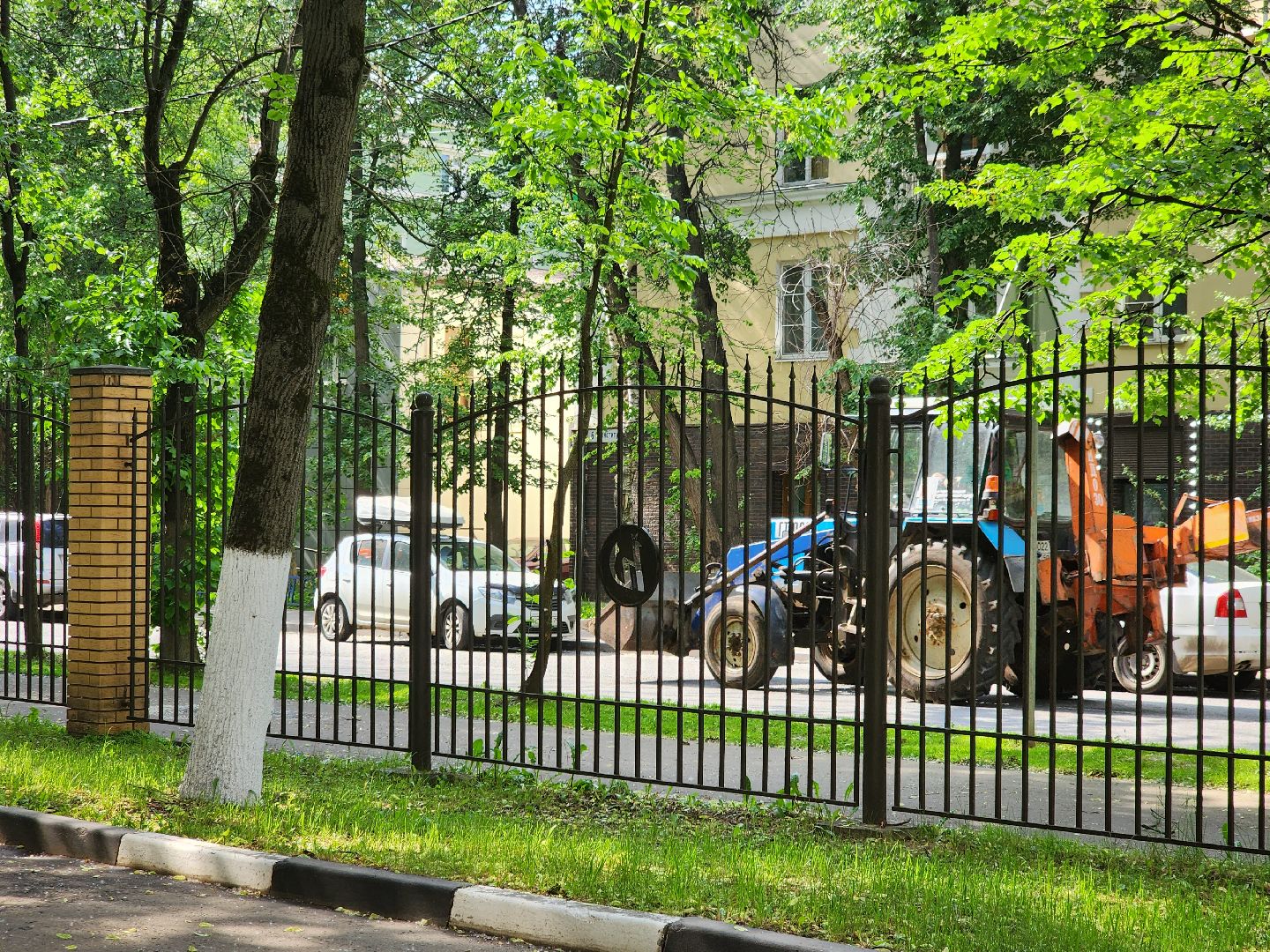 долгопрудный, мфти, Институтский переулок, опиловка деревьев, переработка дерева, смет, мбу благоустройство,