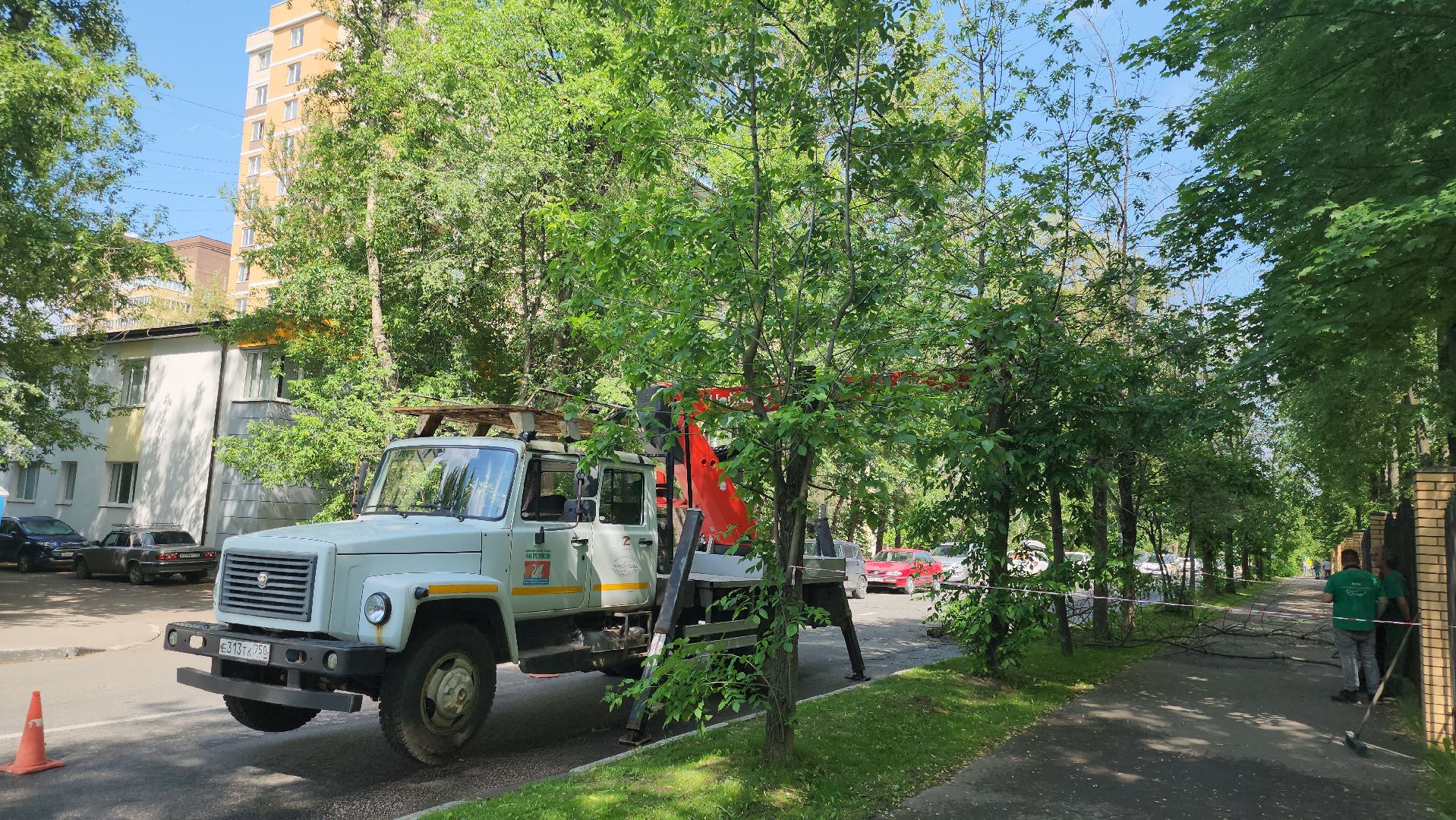 долгопрудный, мфти, Институтский переулок, опиловка деревьев, переработка дерева, смет, мбу благоустройство,