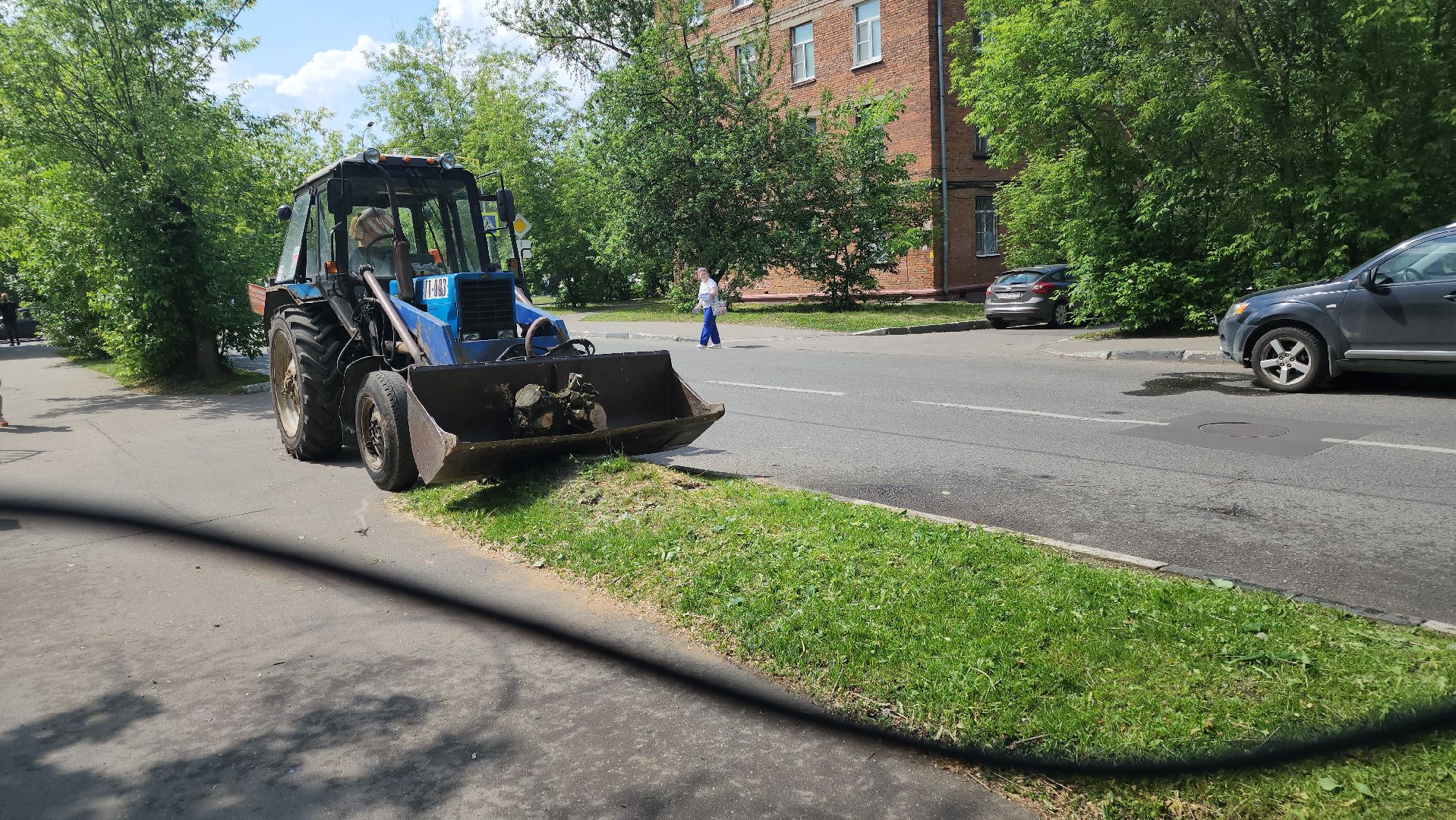 долгопрудный, мфти, Институтский переулок, опиловка деревьев, переработка дерева, смет, мбу благоустройство,