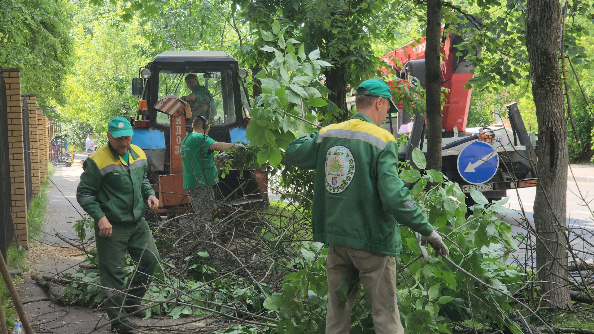 долгопрудный, мфти, Институтский переулок, опиловка деревьев, переработка дерева, смет, мбу благоустройство,