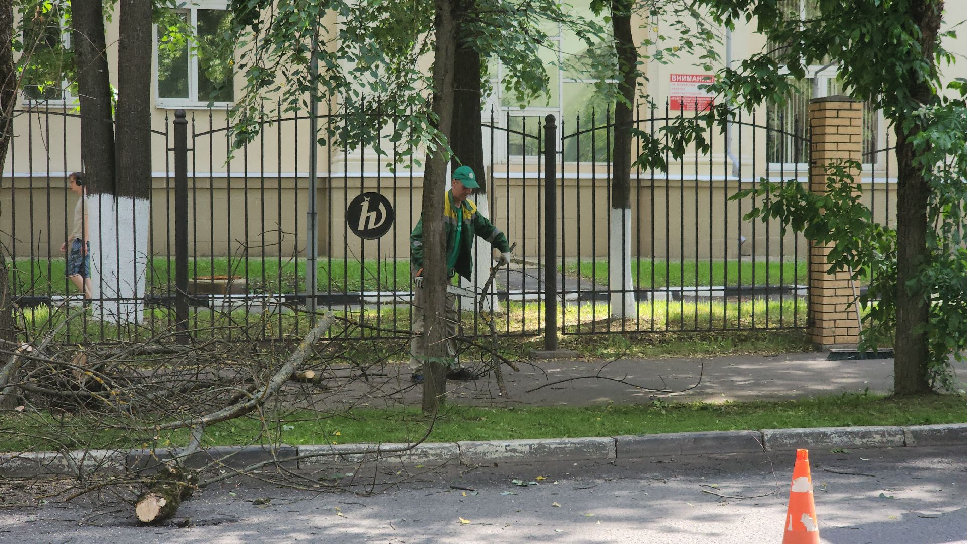 долгопрудный, мфти, Институтский переулок, опиловка деревьев, переработка дерева, смет, мбу благоустройство,