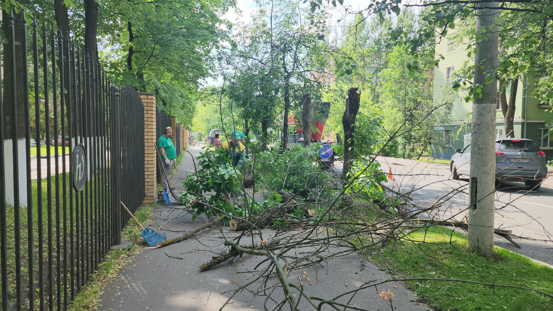 долгопрудный, мфти, Институтский переулок, опиловка деревьев, переработка дерева, смет, мбу благоустройство,