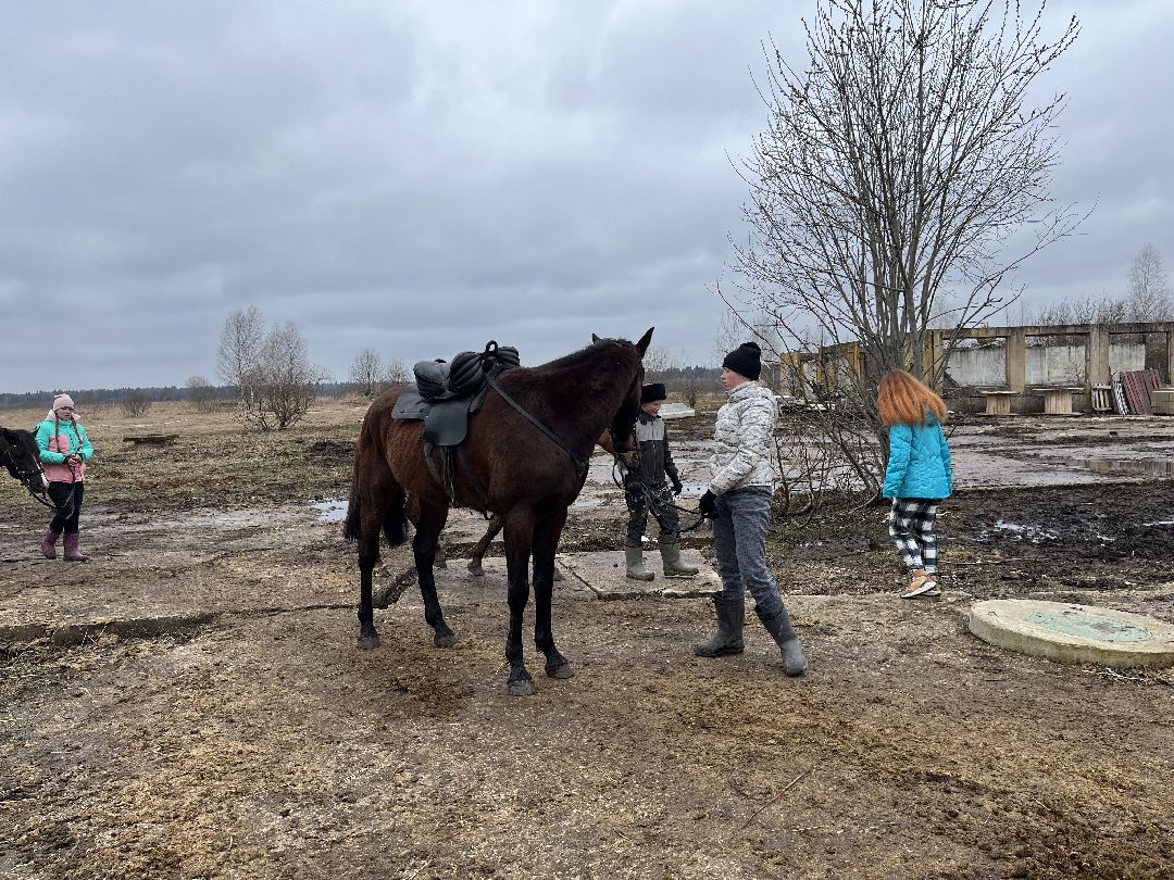 Шаховская, лошади, кони, стрельба из лука