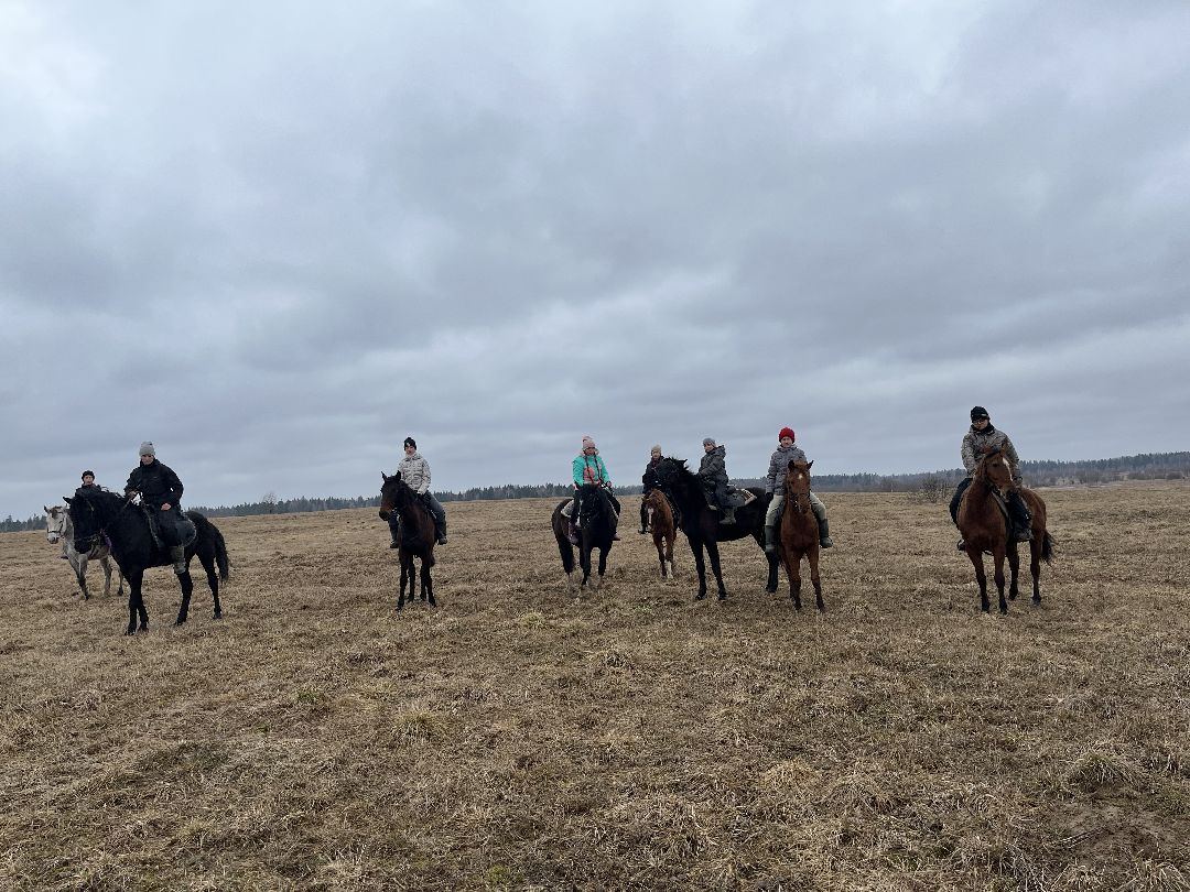Шаховская, лошади, кони, стрельба из лука