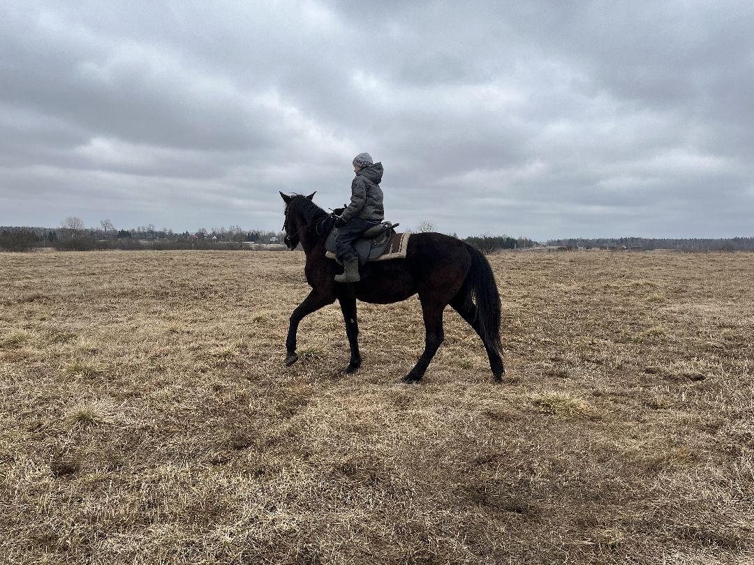 Шаховская, лошади, кони, стрельба из лука