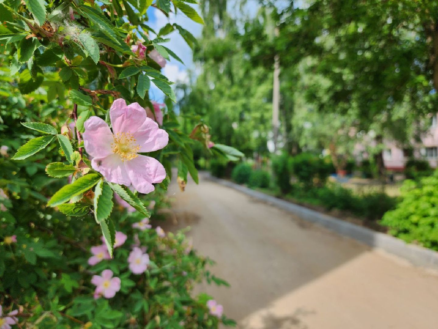 можайск, можайский городской округ, подмосковье, федеральная программа, комфортная городская среда, благоустройства дворов, дворовая территория, работы, благоустройство,