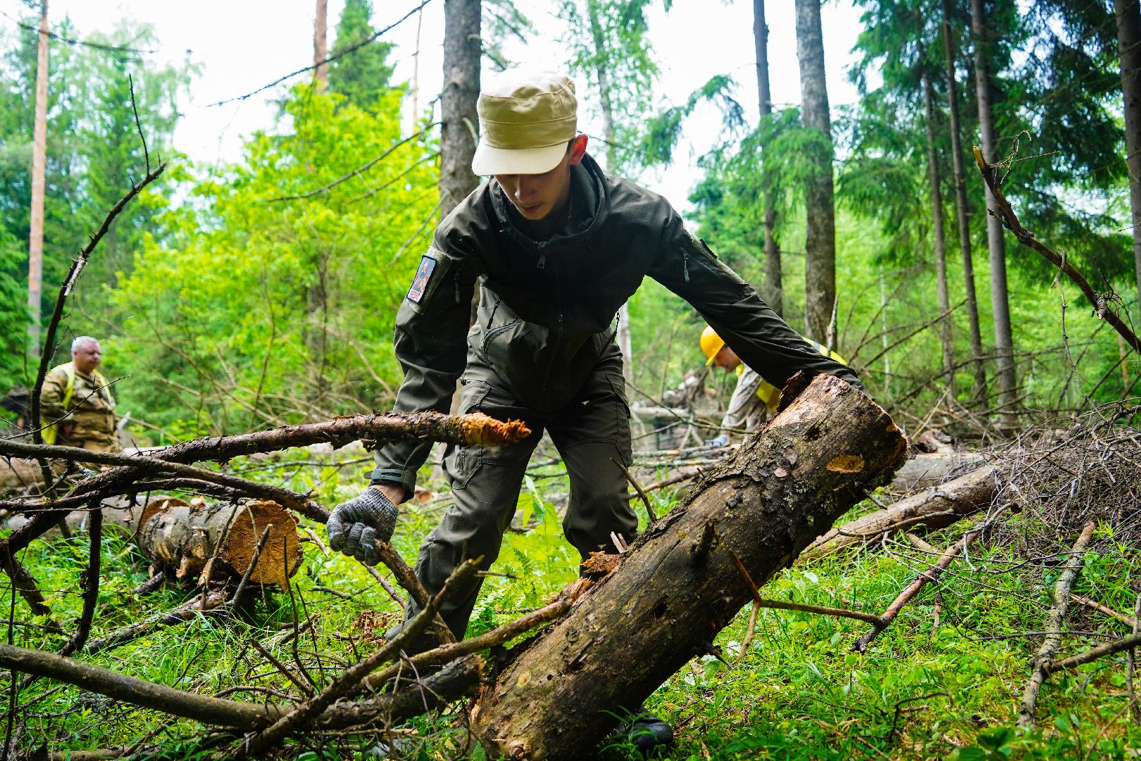 Чистый лес, экоакция, Большая Шатура, экология,