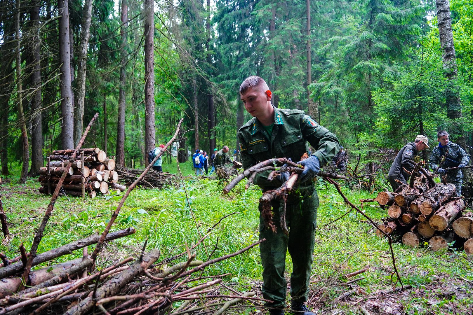 Чистый лес, экоакция, Большая Шатура, экология,