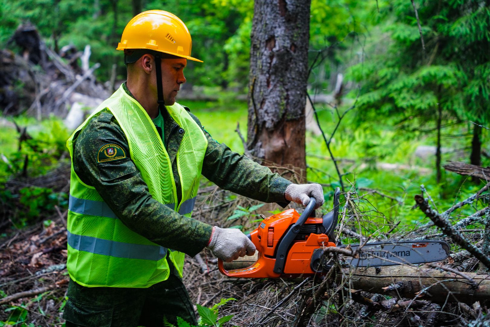 Чистый лес, экоакция, Большая Шатура, экология,