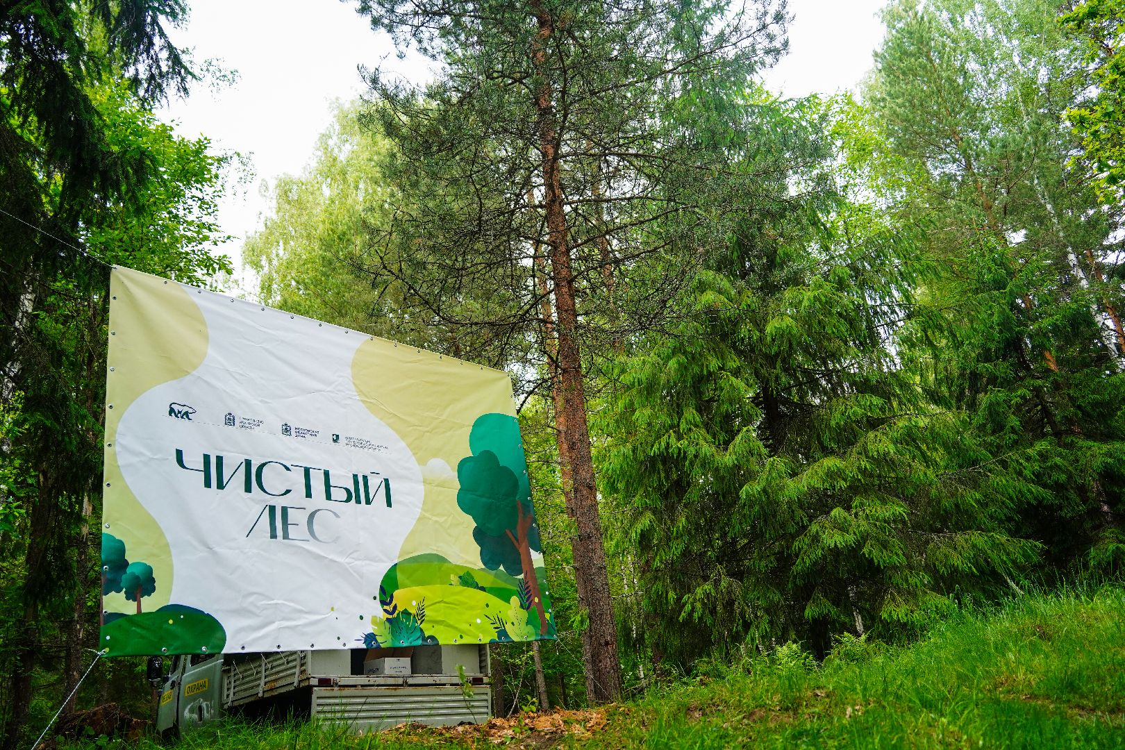 Чистый лес, экоакция, Большая Шатура, экология,