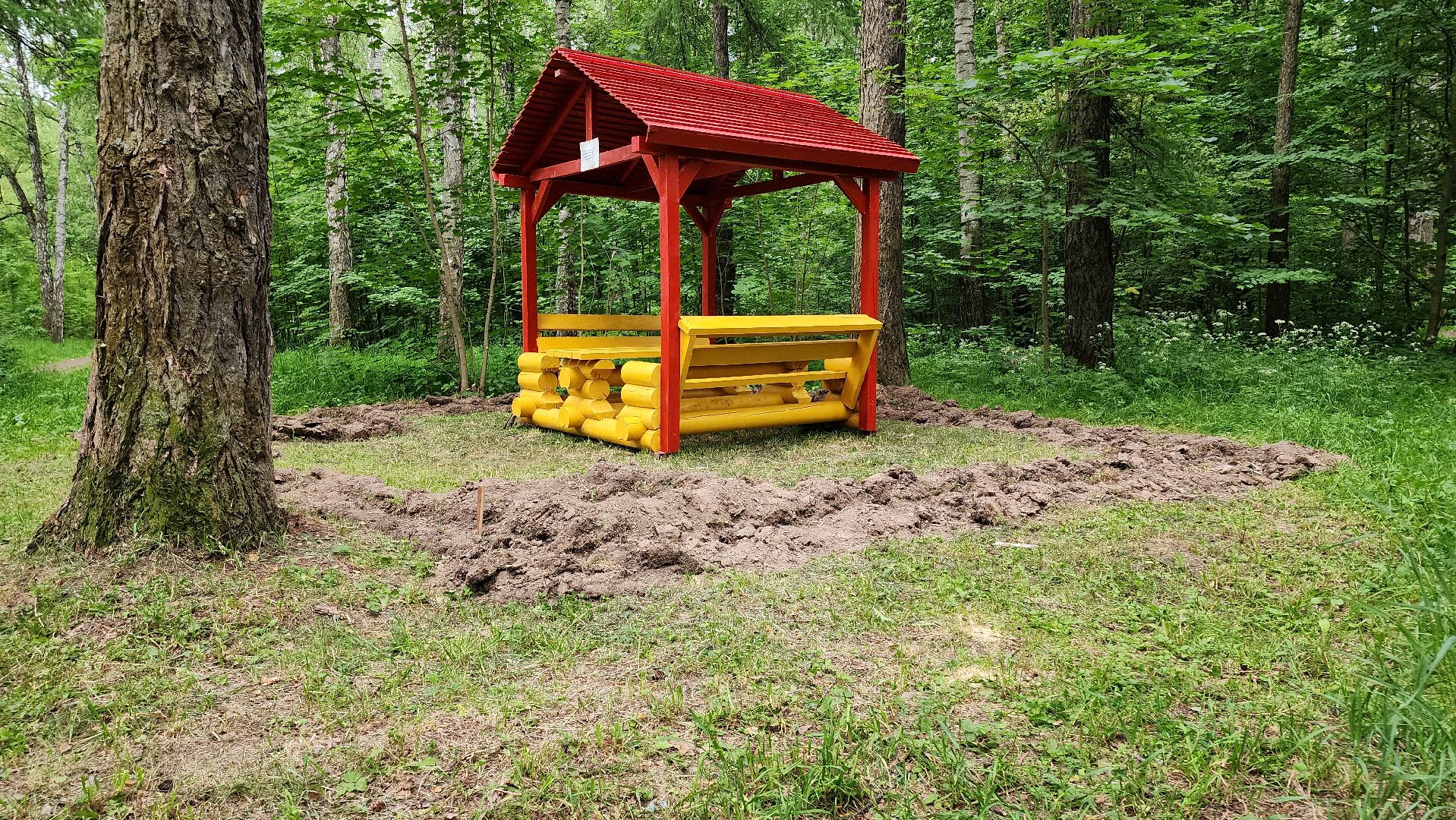 кашира, комлесхоз, центрлесхоз, зона для пикника, березовая роща, беседка, мангал,