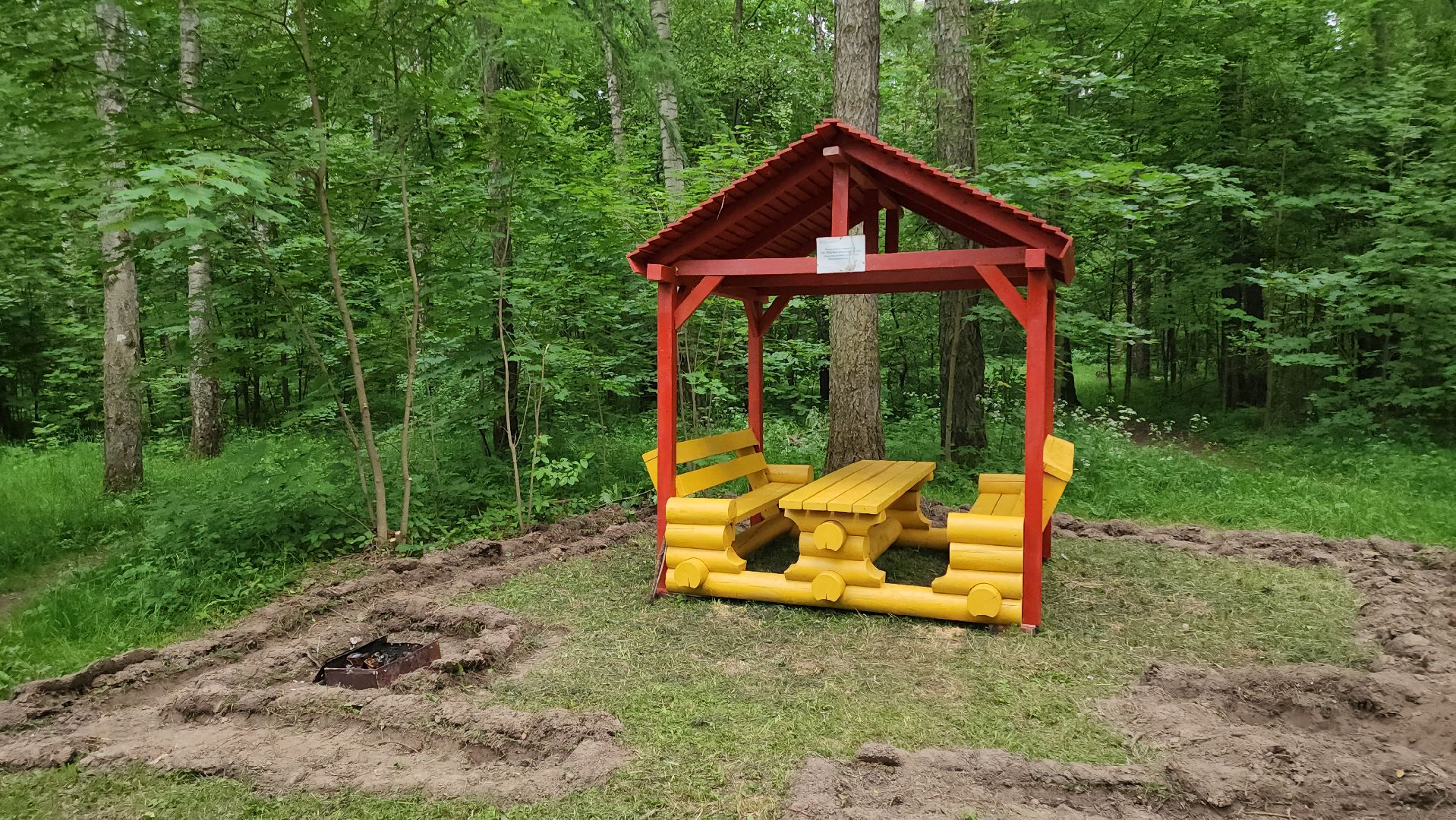 кашира, комлесхоз, центрлесхоз, зона для пикника, березовая роща, беседка, мангал,