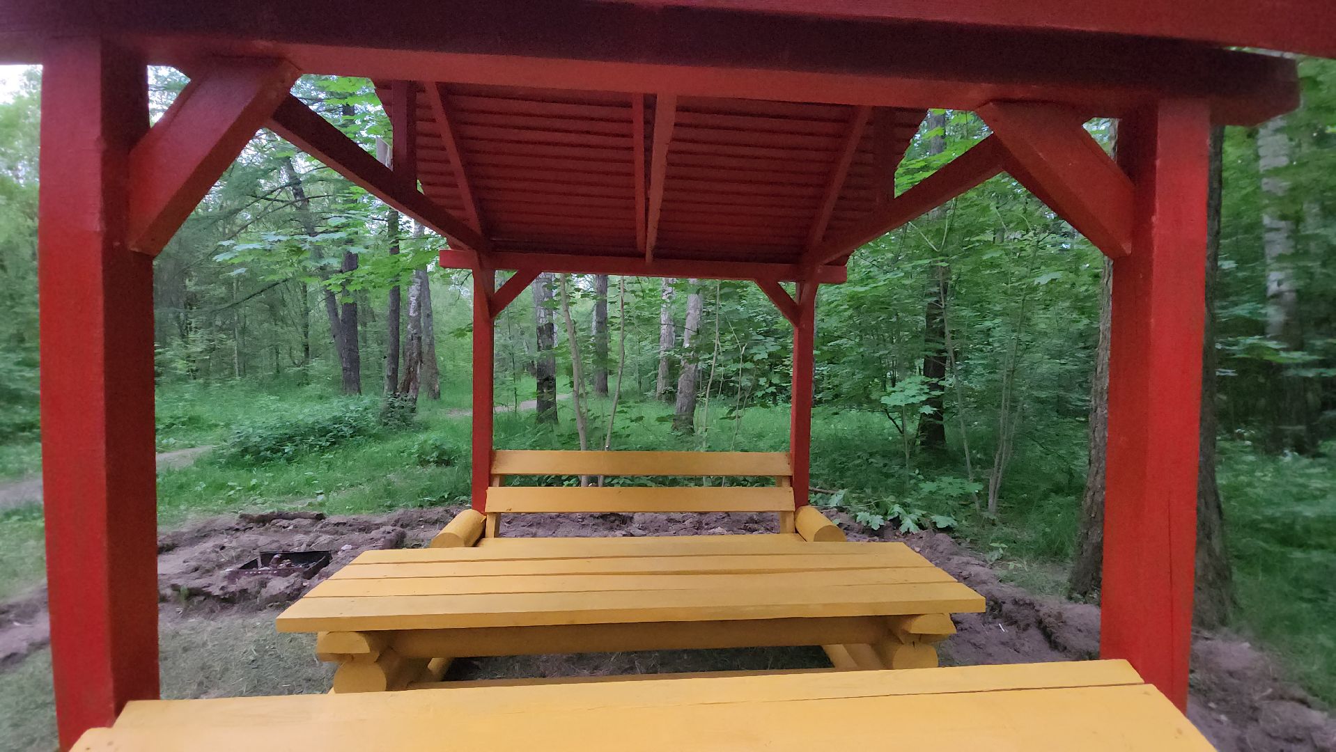 кашира, комлесхоз, центрлесхоз, зона для пикника, березовая роща, беседка, мангал,