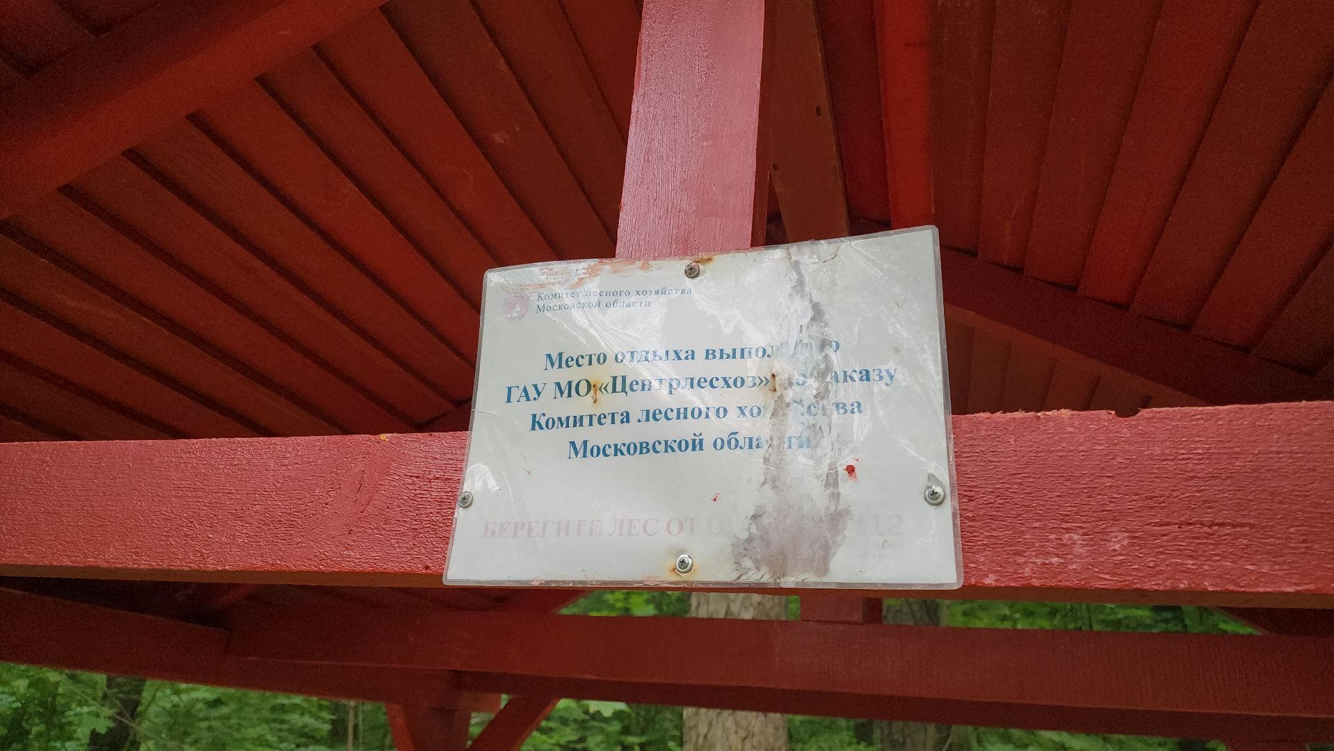 кашира, комлесхоз, центрлесхоз, зона для пикника, березовая роща, беседка, мангал,