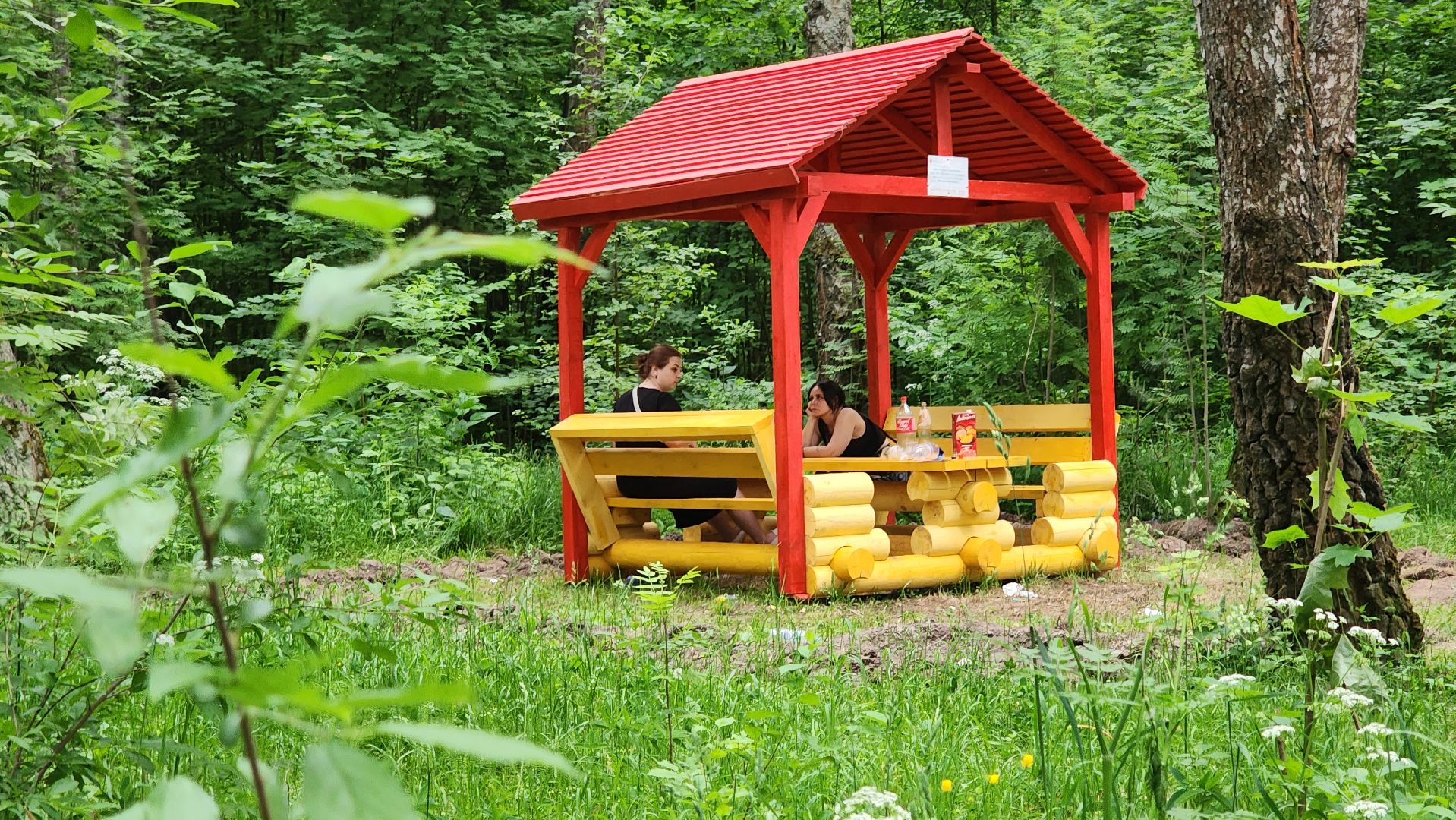 кашира, комлесхоз, центрлесхоз, зона для пикника, березовая роща, беседка, мангал,