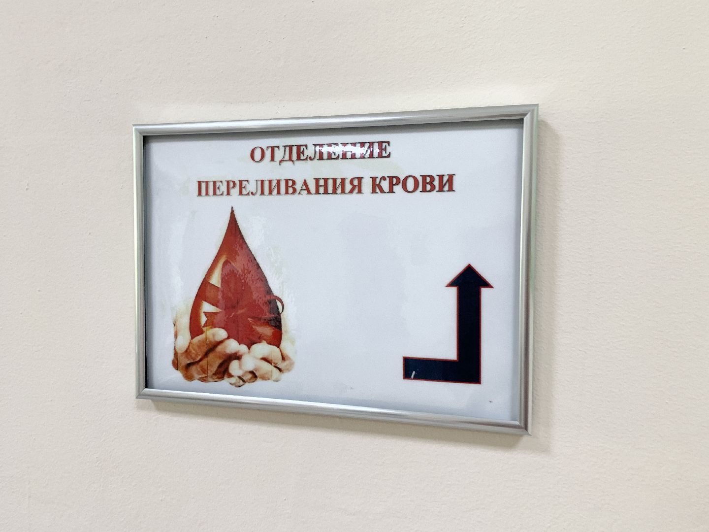 Балашиха, Подмосковье, донорская акция, московский областной онкологический диспансер,