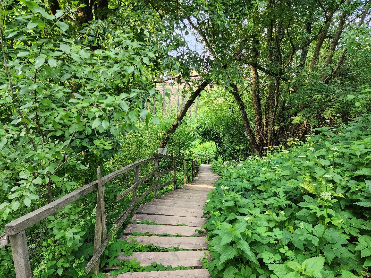 раменское, общество, выездная администрация, софьино,