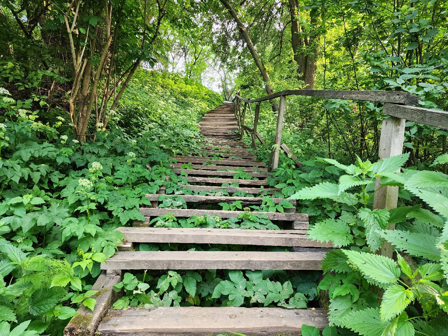 раменское, общество, выездная администрация, софьино,