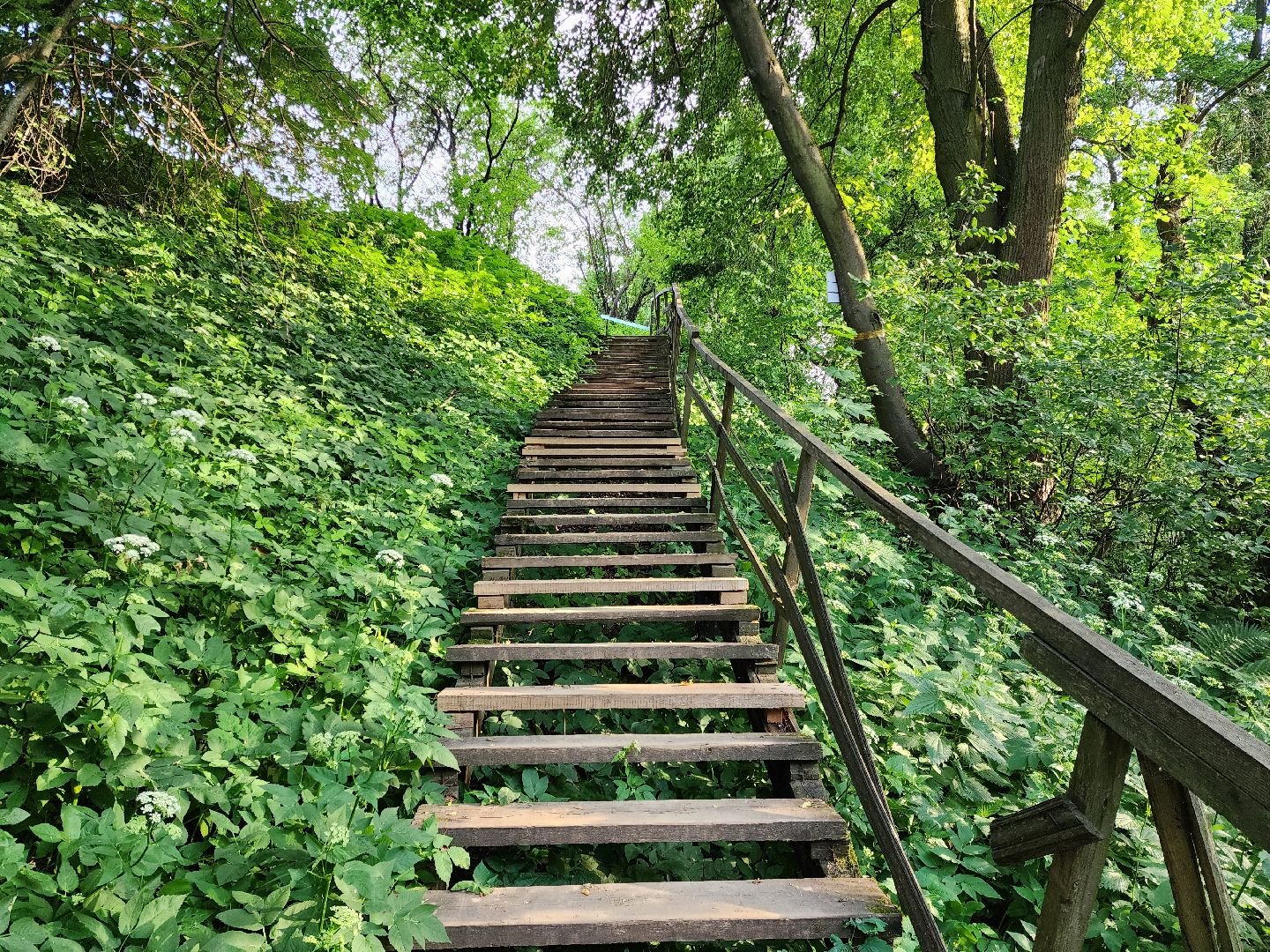 раменское, общество, выездная администрация, софьино,