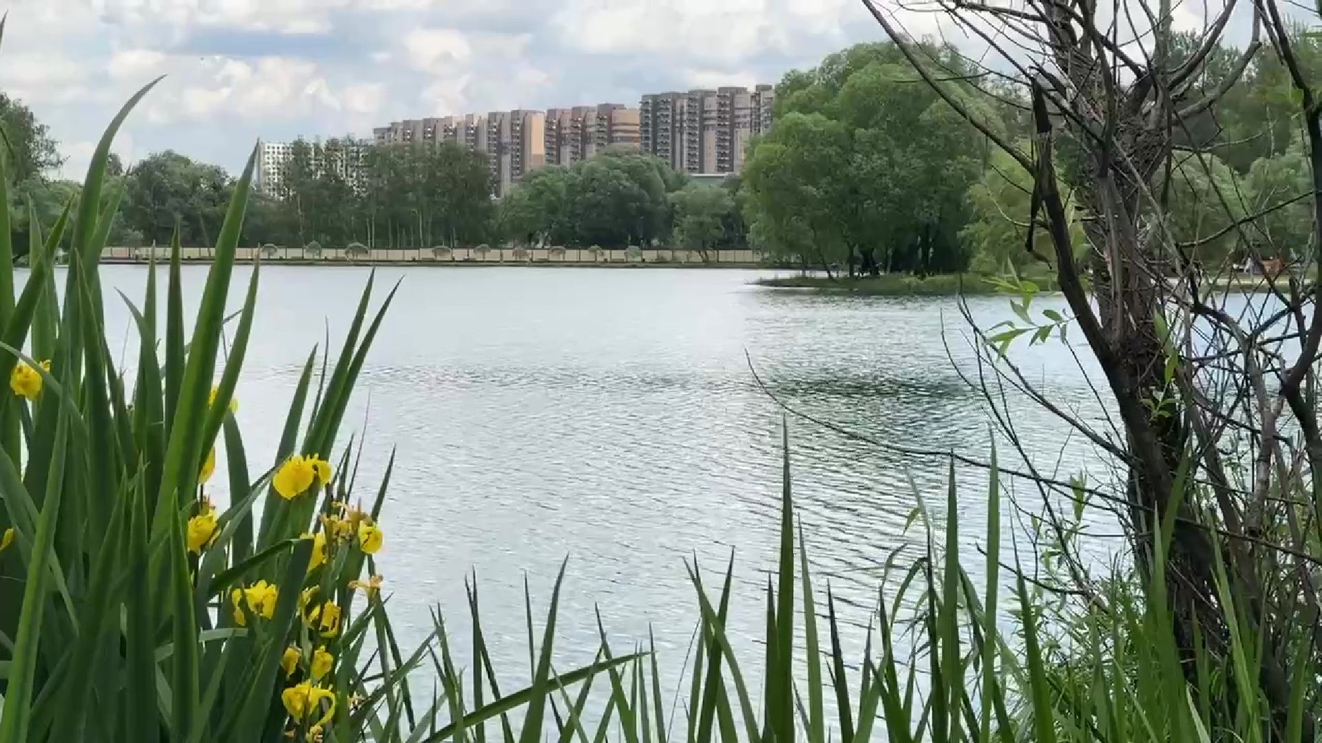 Реутов, парк, фабричный пруд, экскурсия,