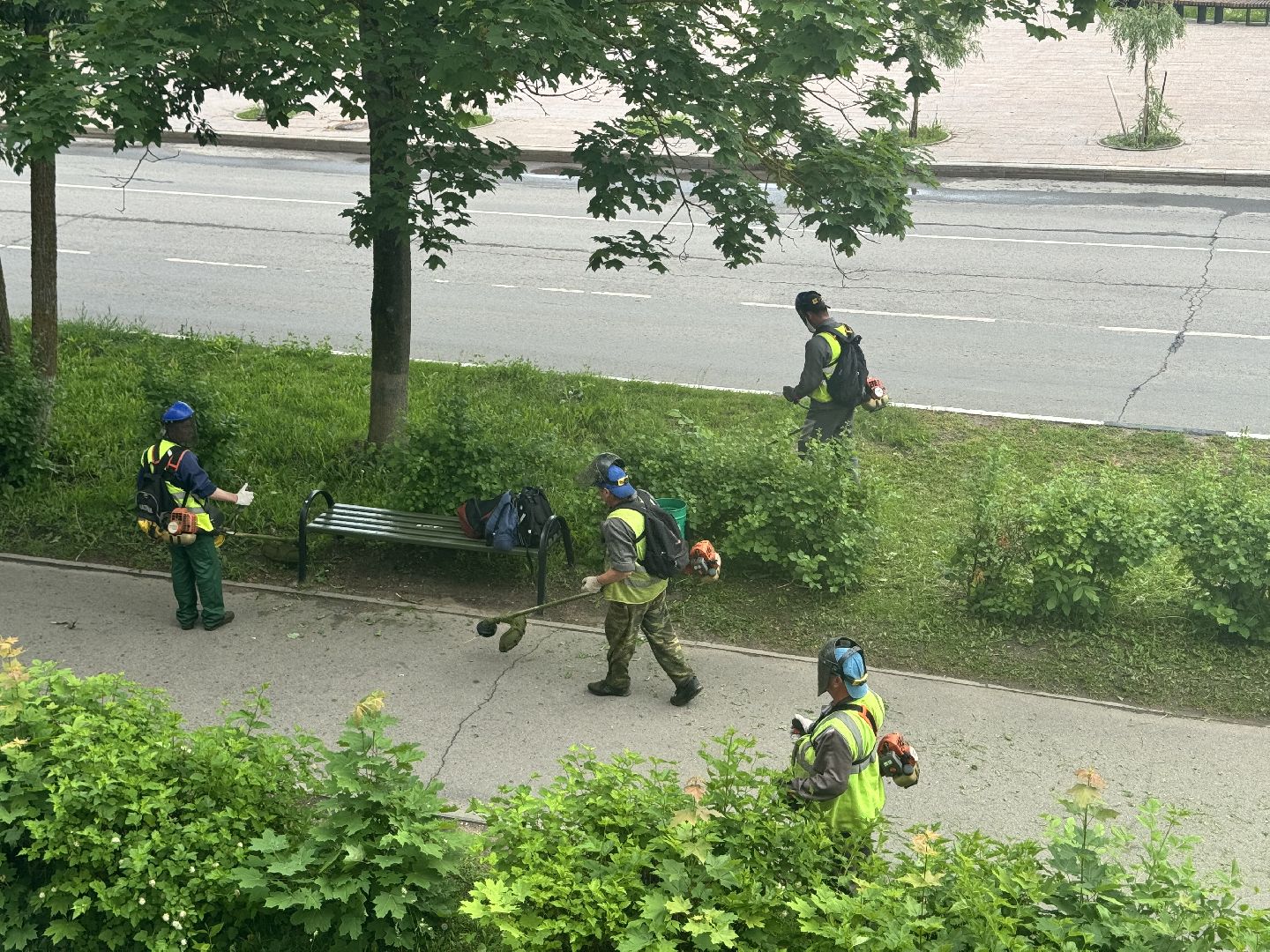 шаховская, покос травы, благоустойство,