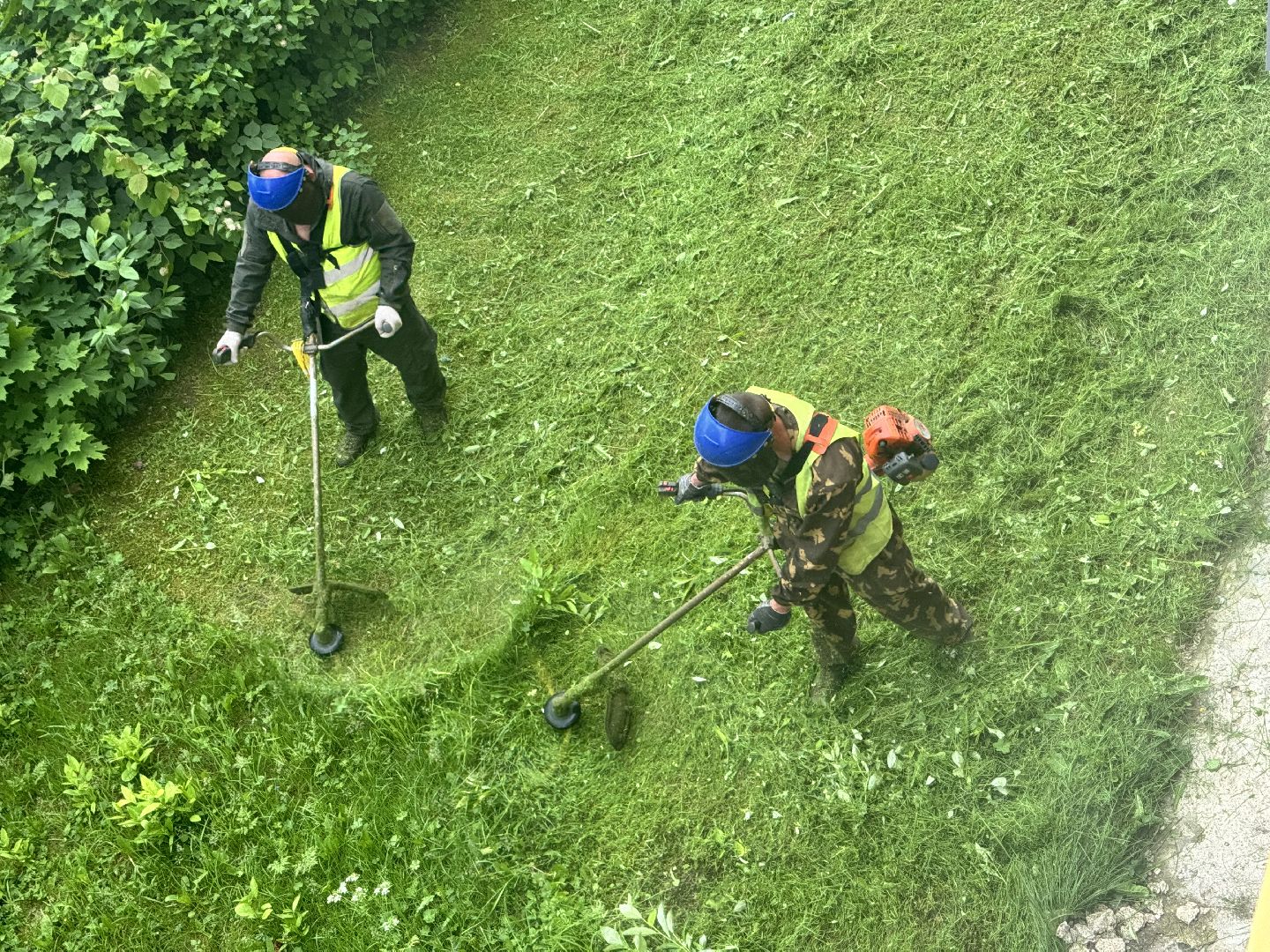 шаховская, покос травы, благоустойство,