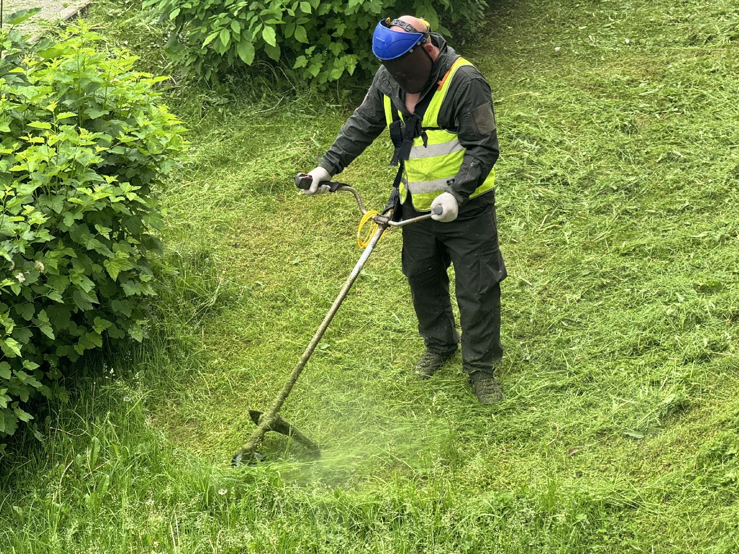 шаховская, покос травы, благоустойство,