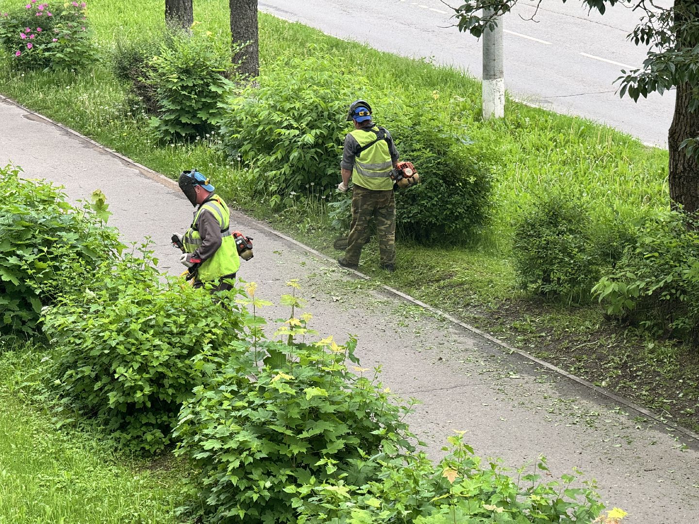 шаховская, покос травы, благоустойство,