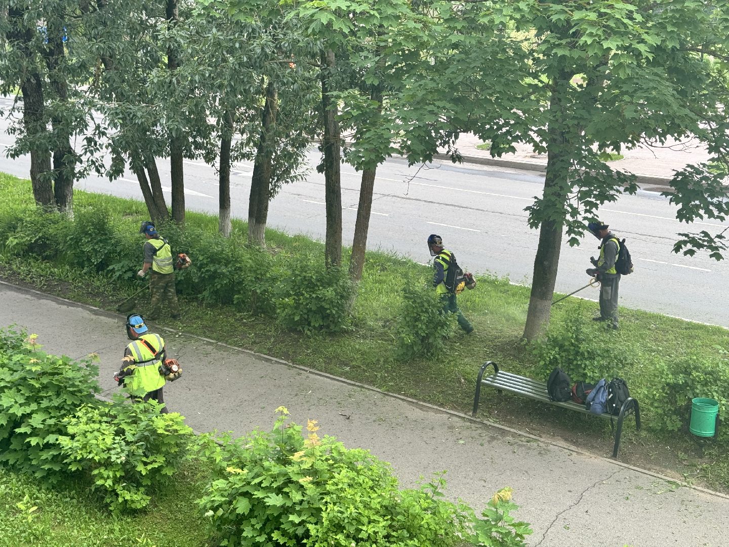 шаховская, покос травы, благоустойство,