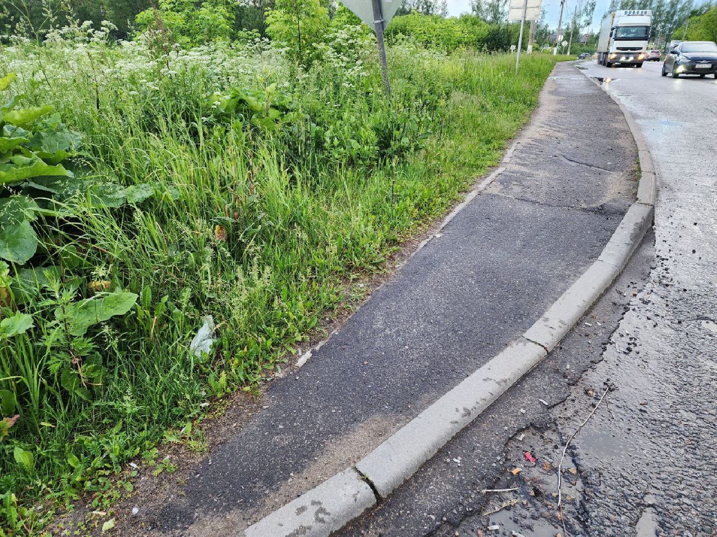 чехов, выездная администрация, жители, тротуар, дорога,