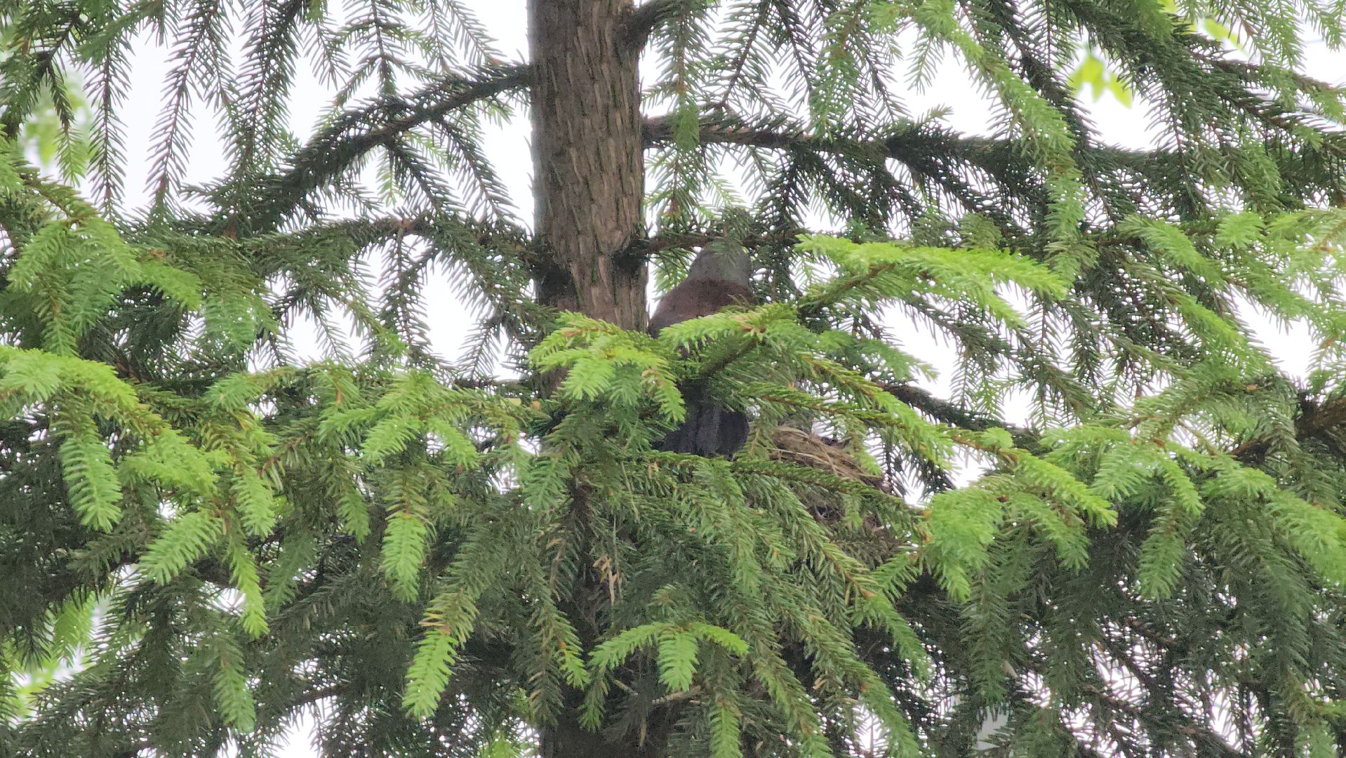 ступино, парки подмосковья, природа подмосковья,