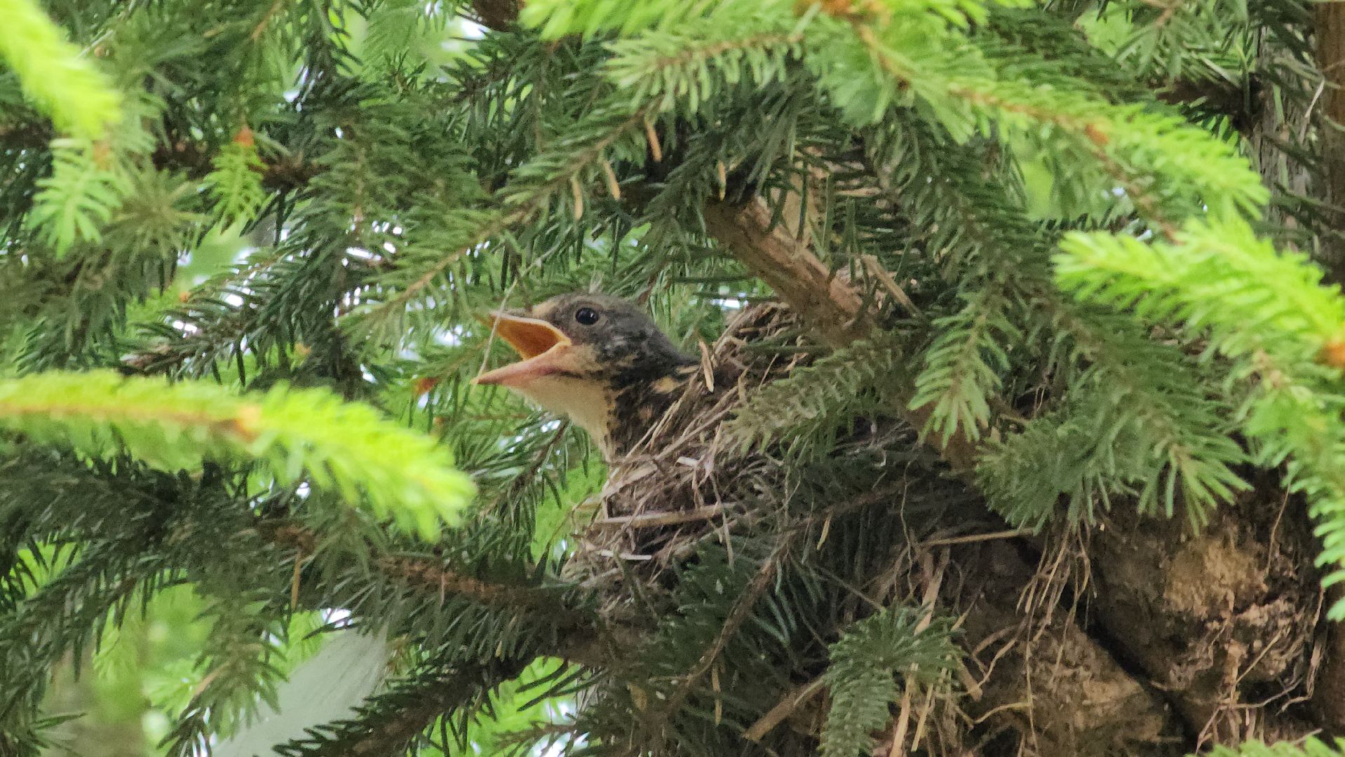 ступино, парки подмосковья, природа подмосковья,