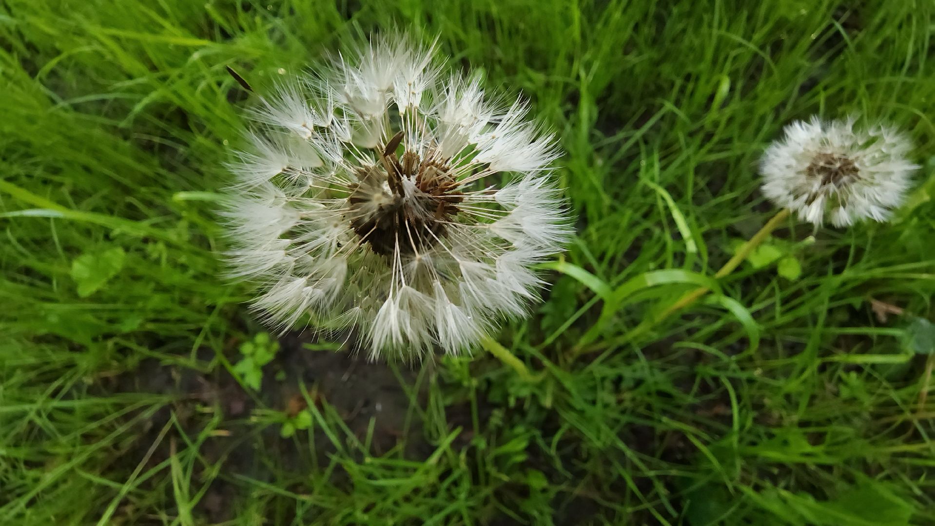 ступино, парки подмосковья, природа подмосковья,