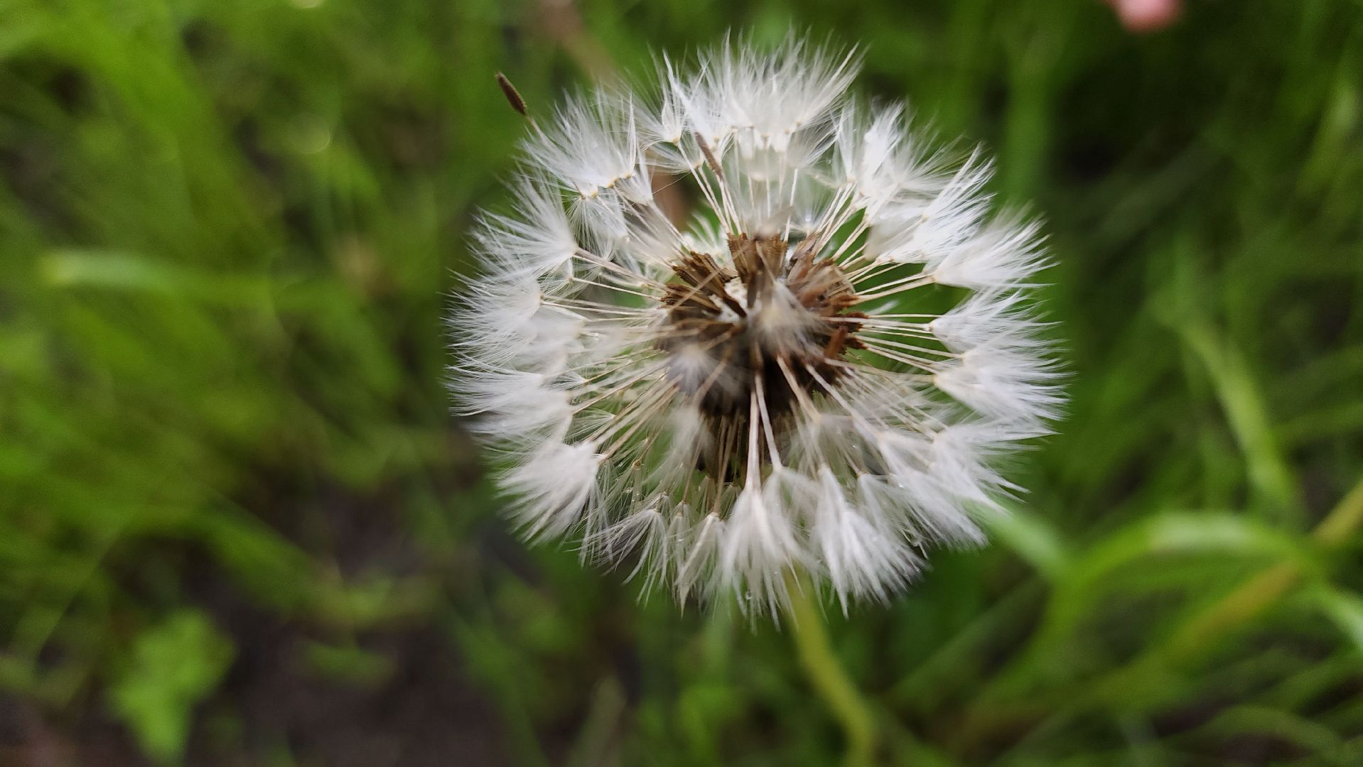 ступино, парки подмосковья, природа подмосковья,