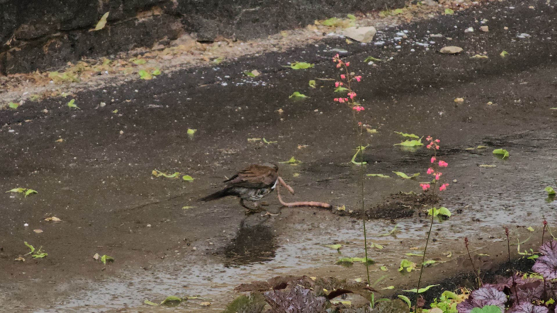 ступино, парки подмосковья, природа подмосковья,