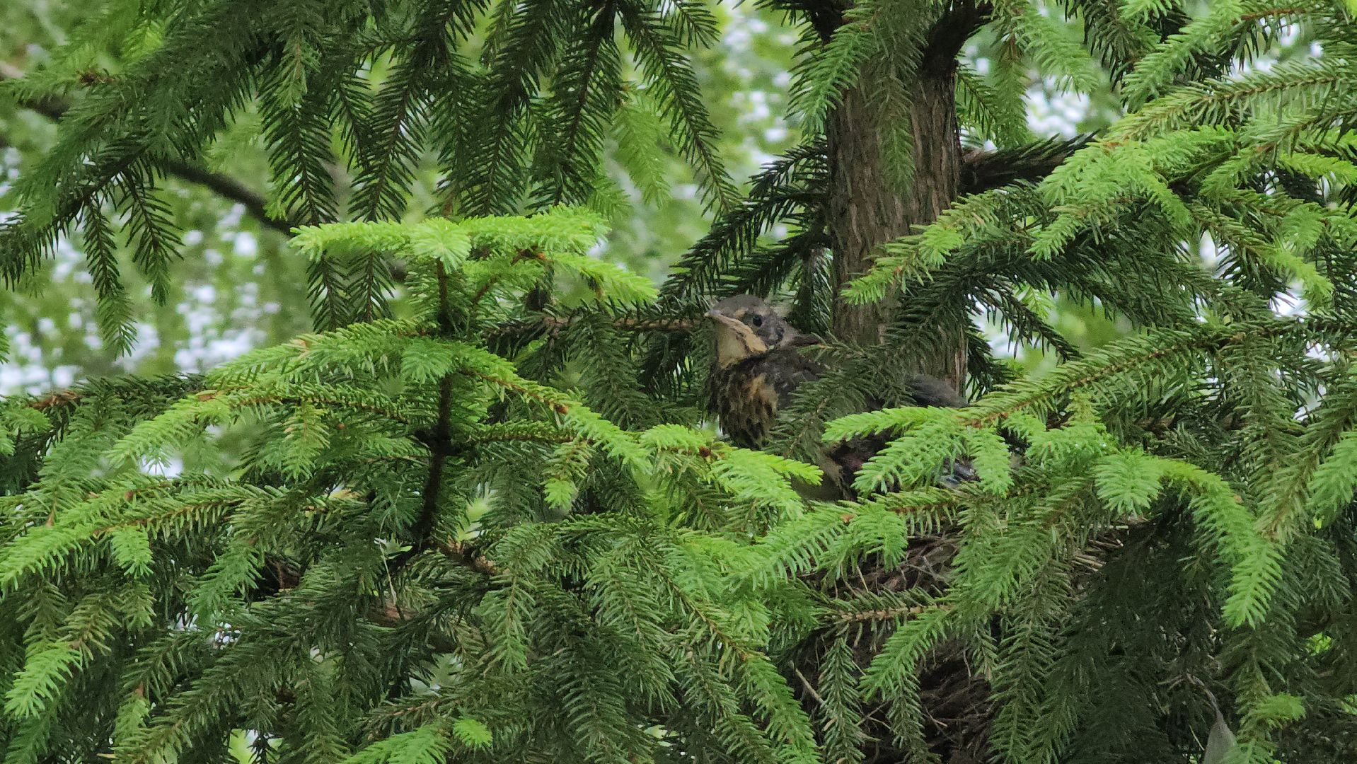 ступино, парки подмосковья, природа подмосковья,