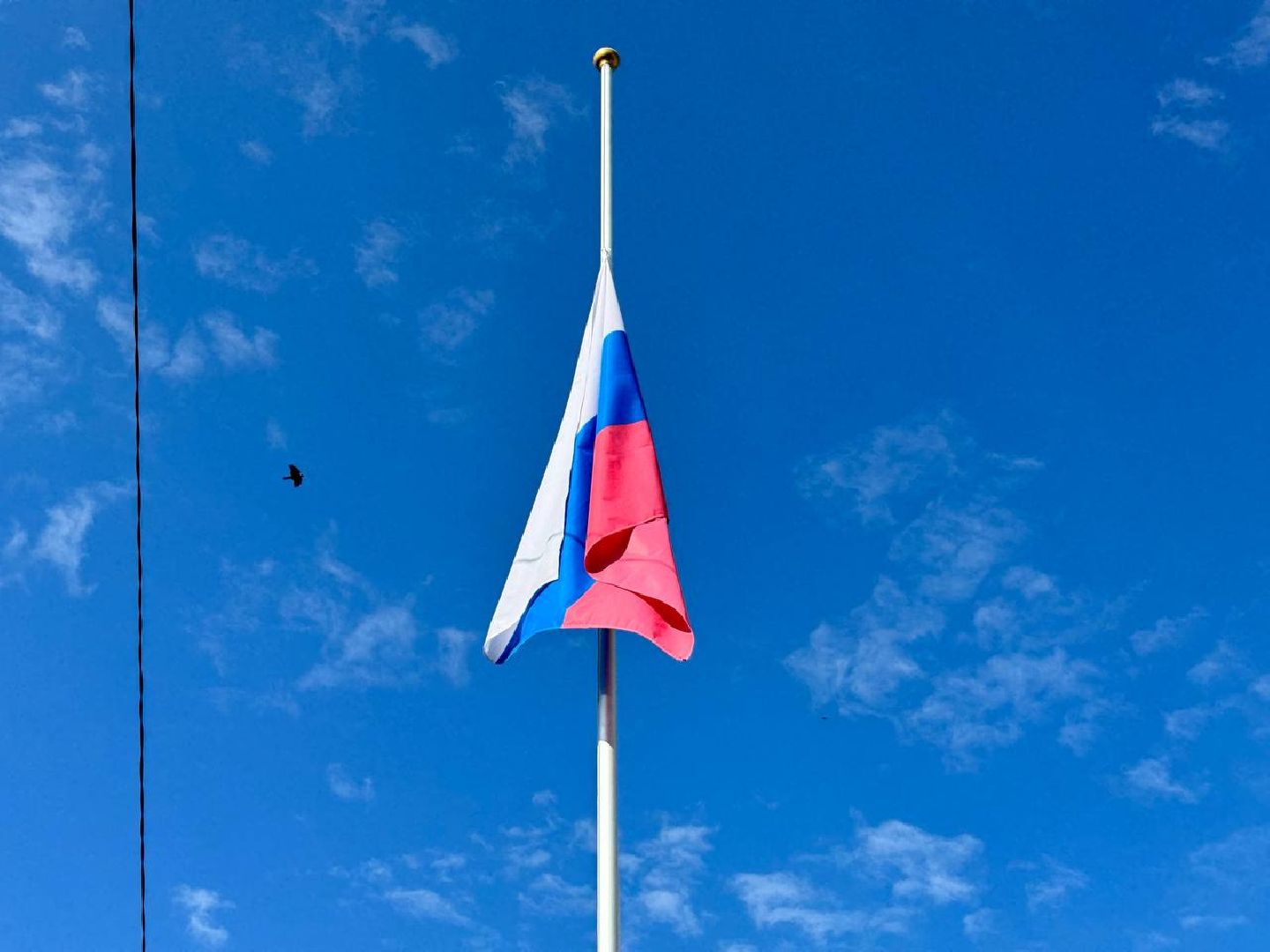 лагерь, школа, дети, каникулы,