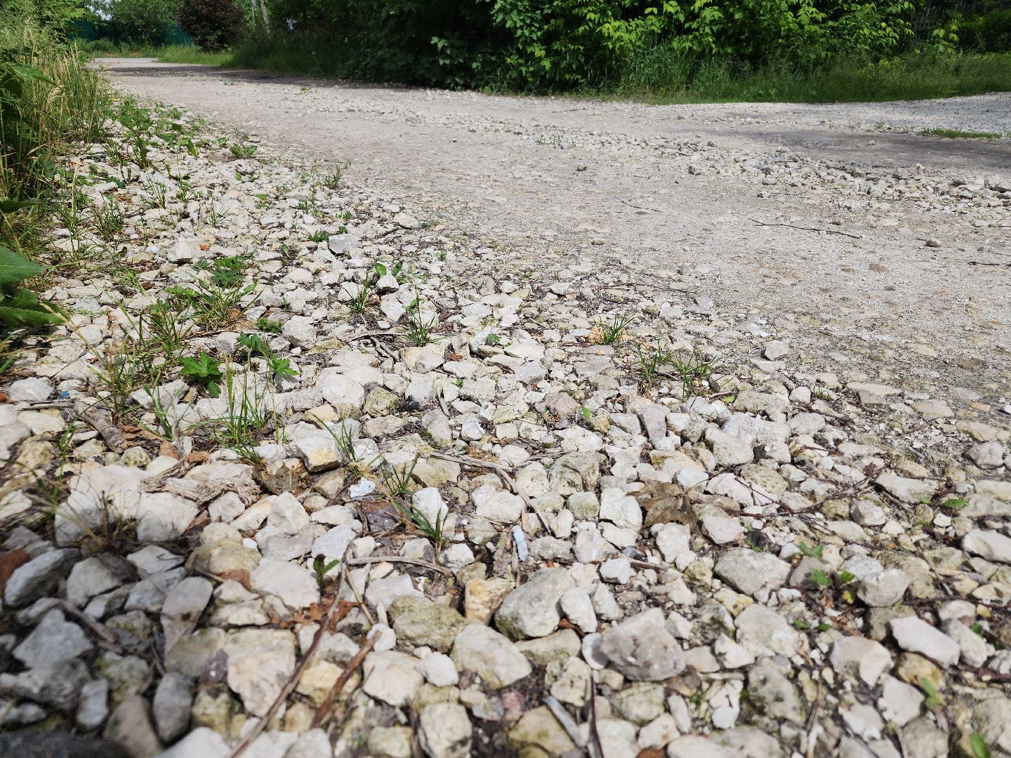 выездная администрация, орехово зуево,