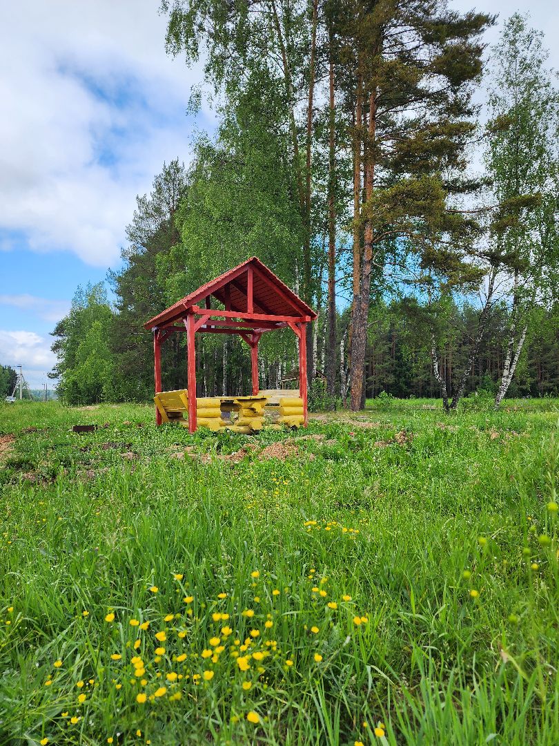 волоколамск, природа, лес, пожары, охрана, профилактика, пожарная безопасность,