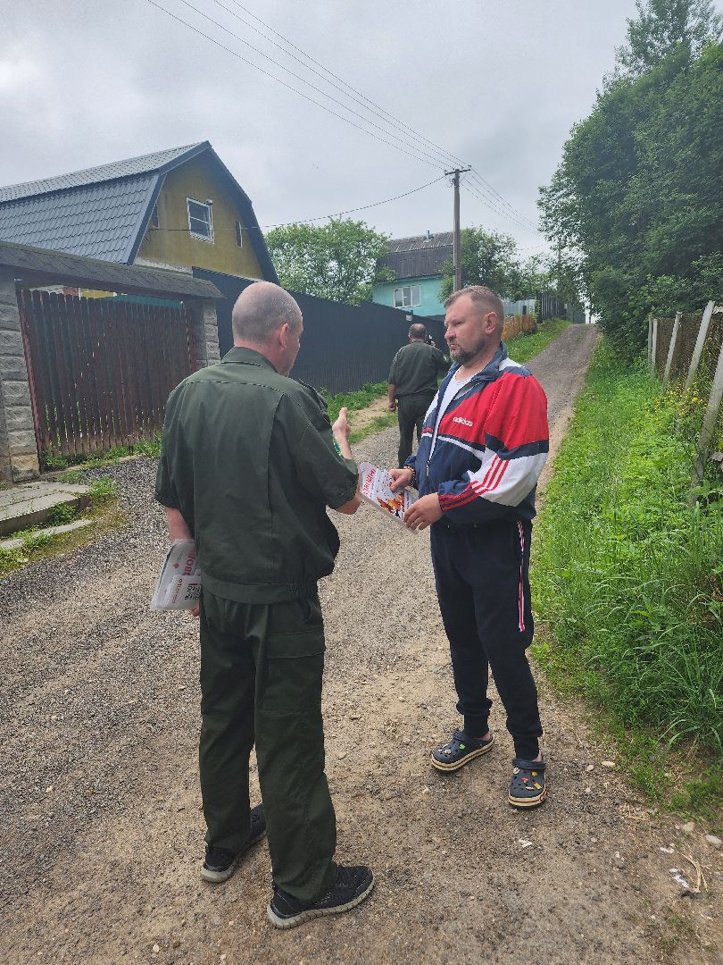 волоколамск, природа, лес, пожары, охрана, профилактика, пожарная безопасность,