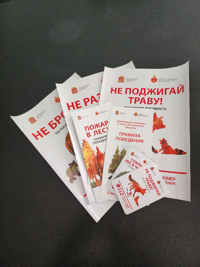 волоколамск, природа, лес, пожары, охрана, профилактика, пожарная безопасность,