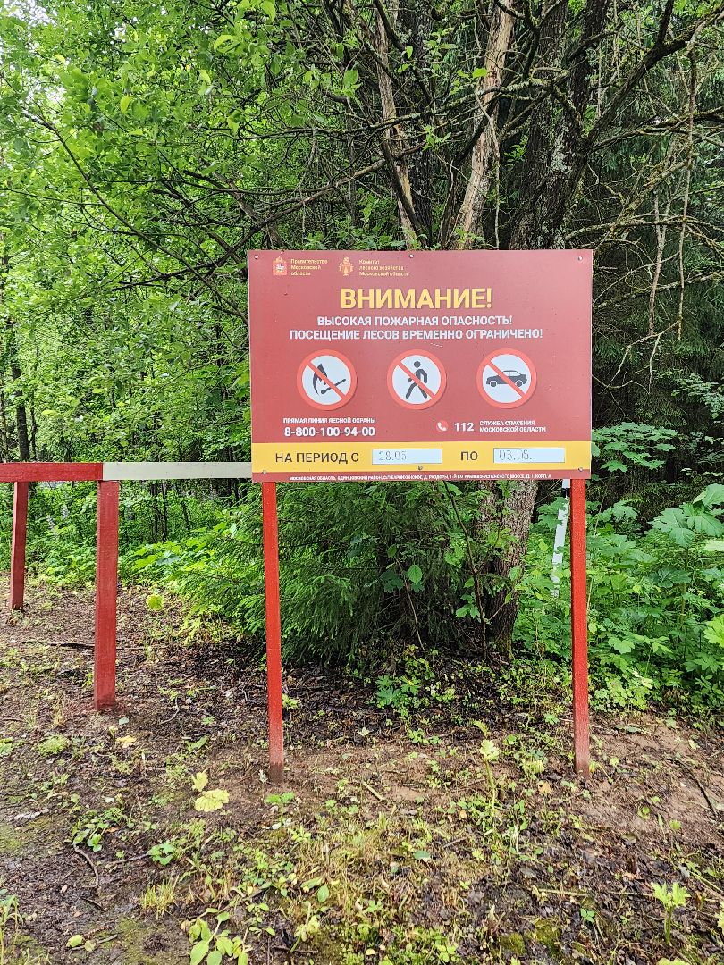 волоколамск, природа, лес, пожары, охрана, профилактика, пожарная безопасность,