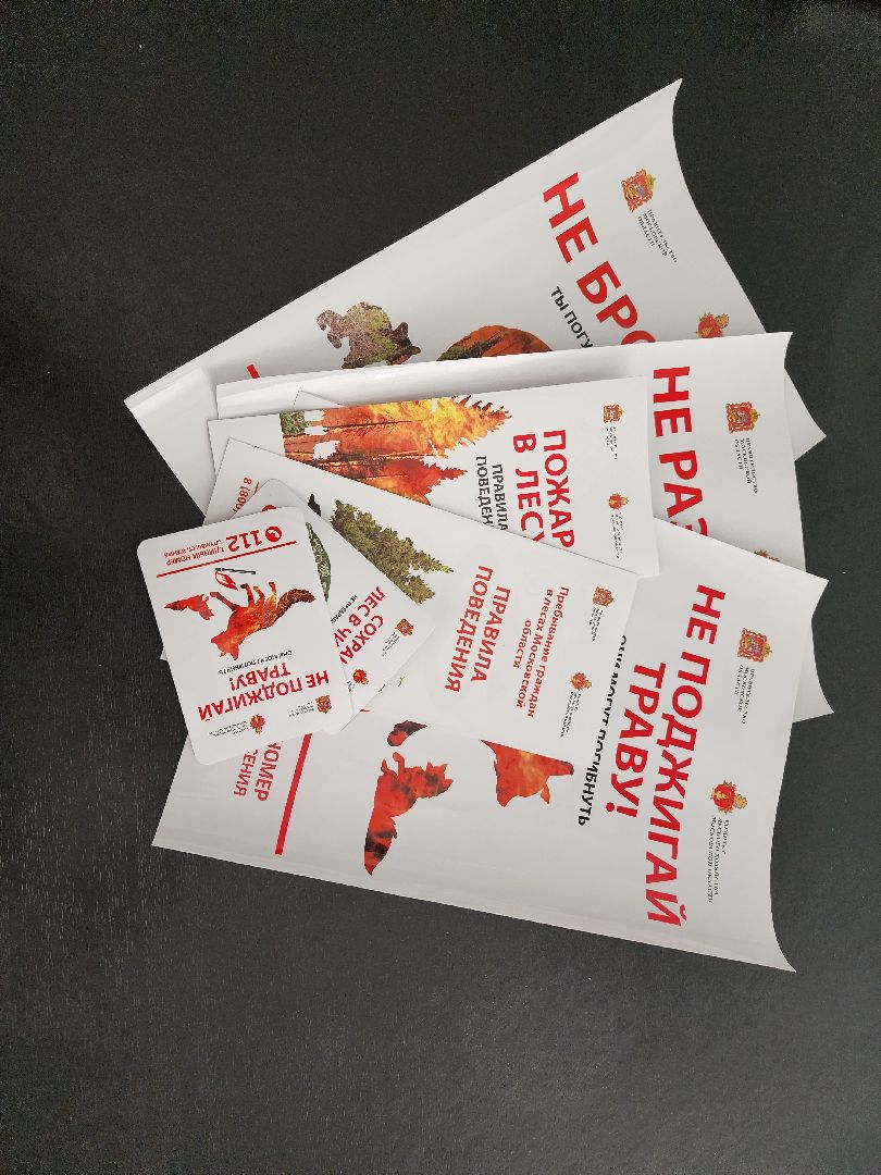 волоколамск, природа, лес, пожары, охрана, профилактика, пожарная безопасность,